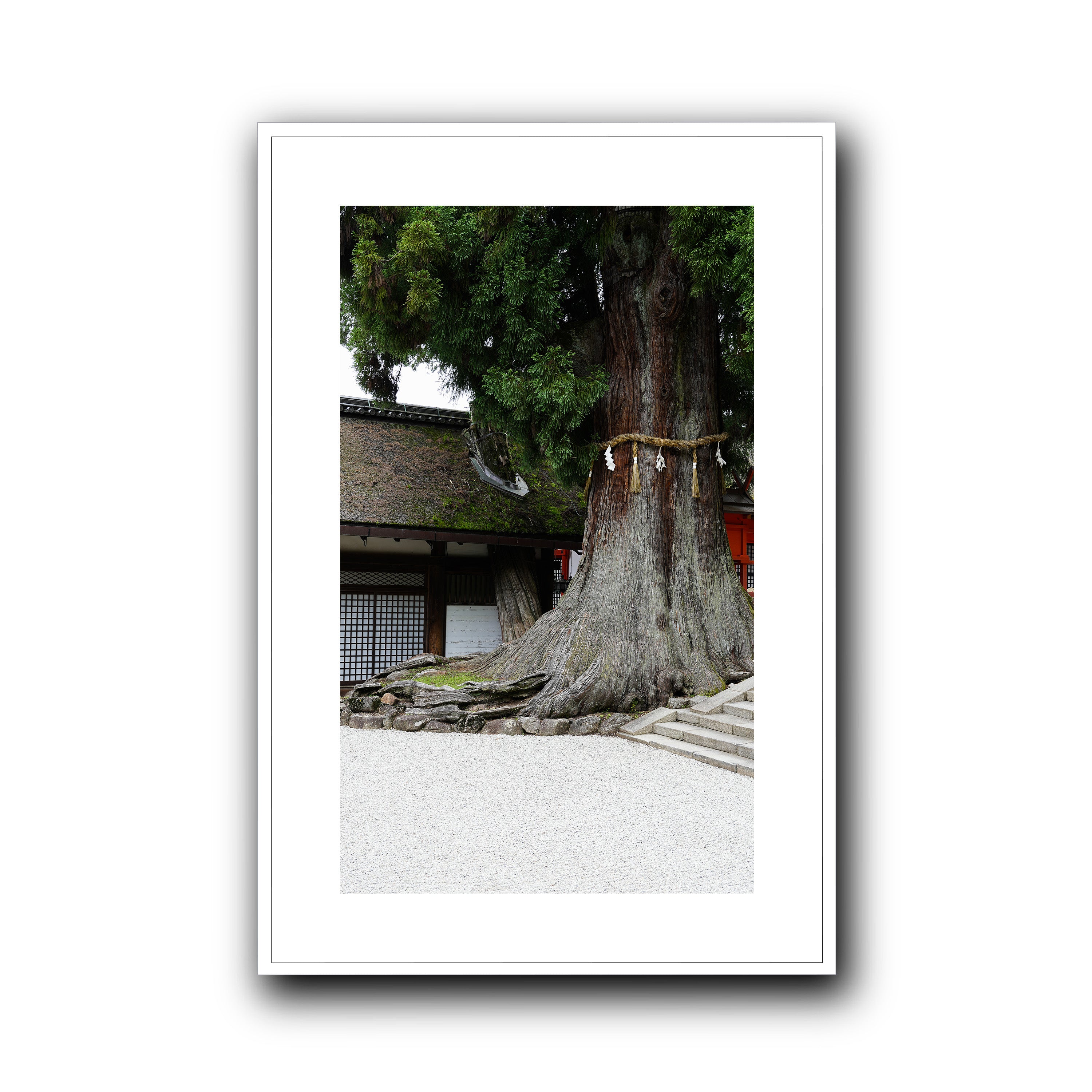 The Tree, Nara