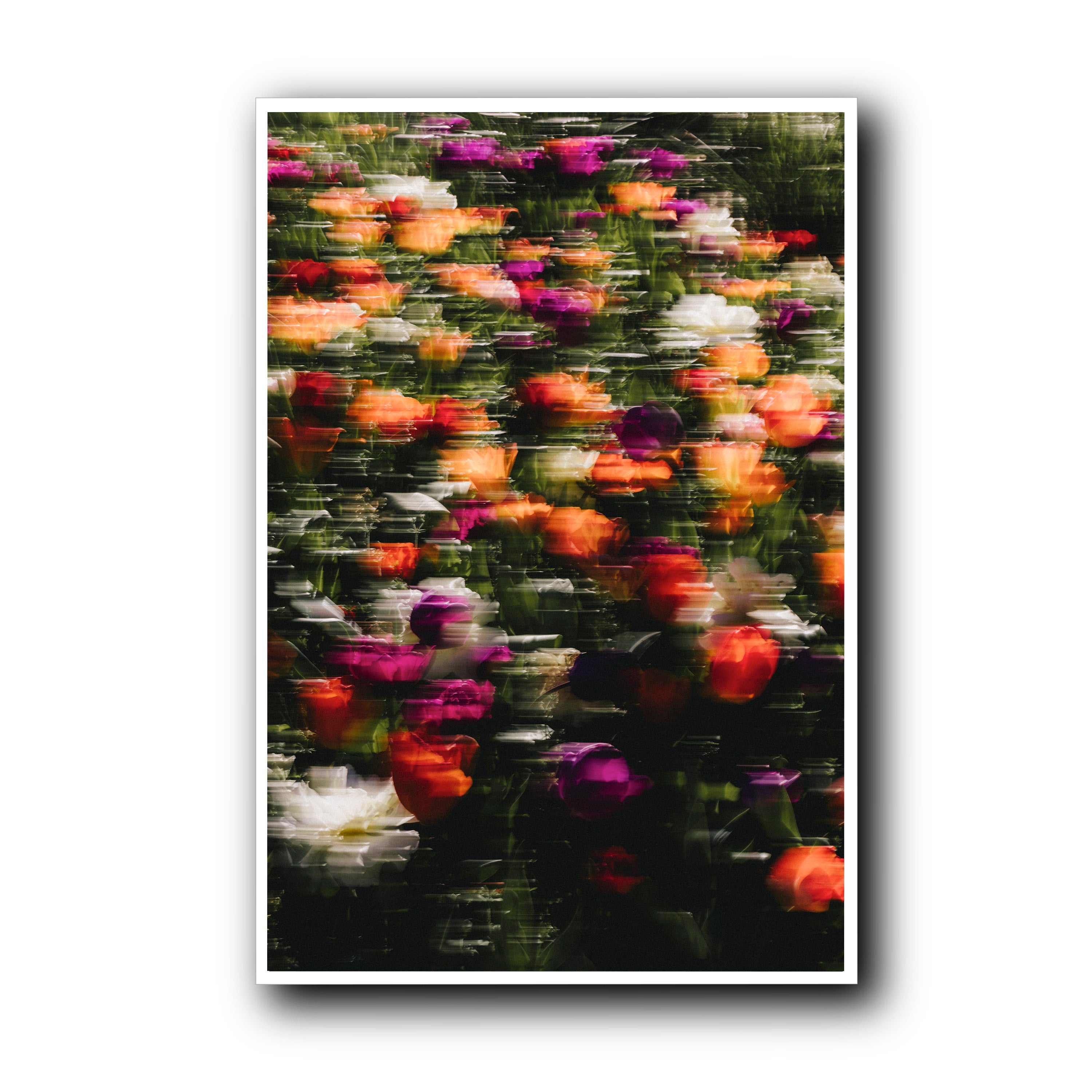 Flowers in Motion, Barcelona