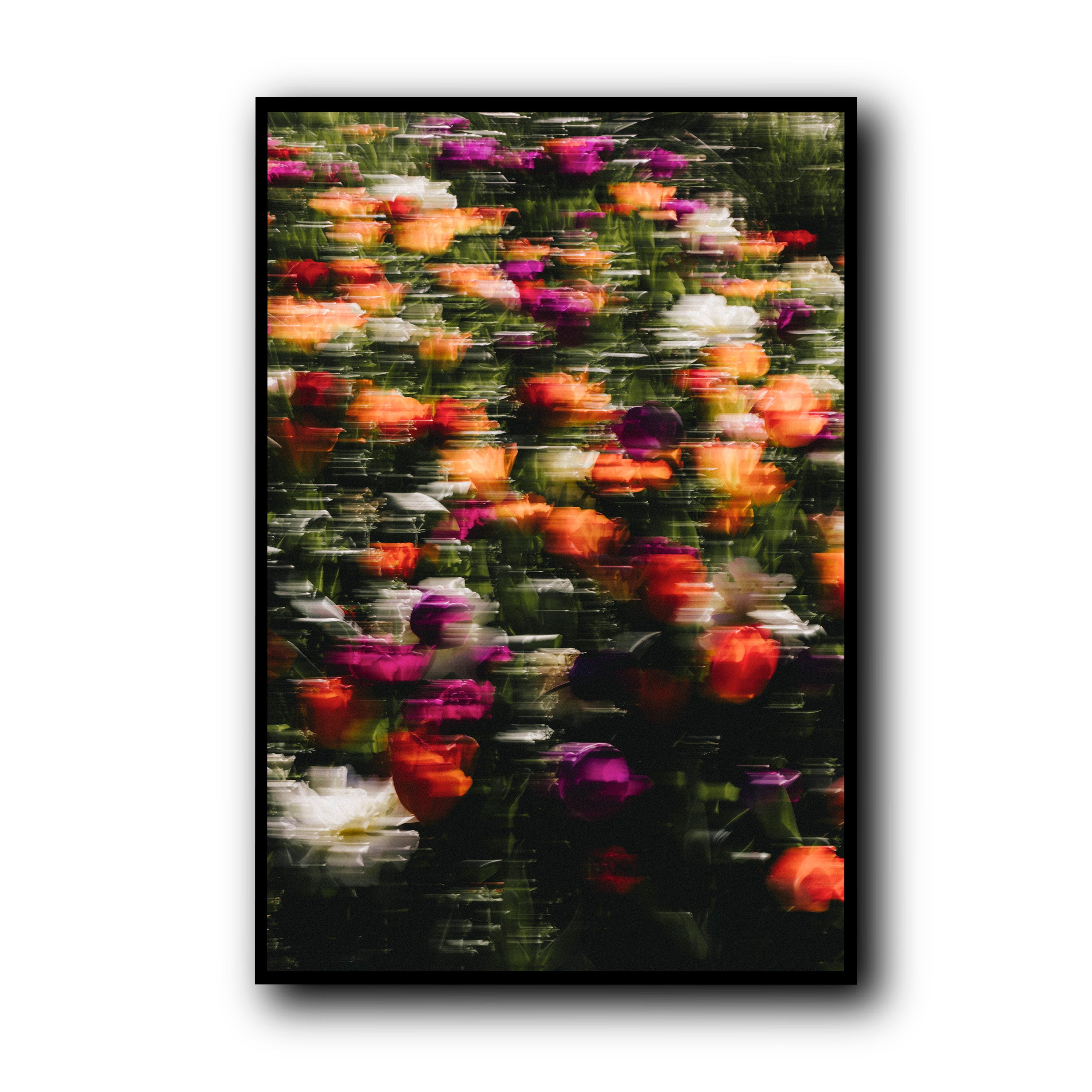 Flowers in Motion, Barcelona