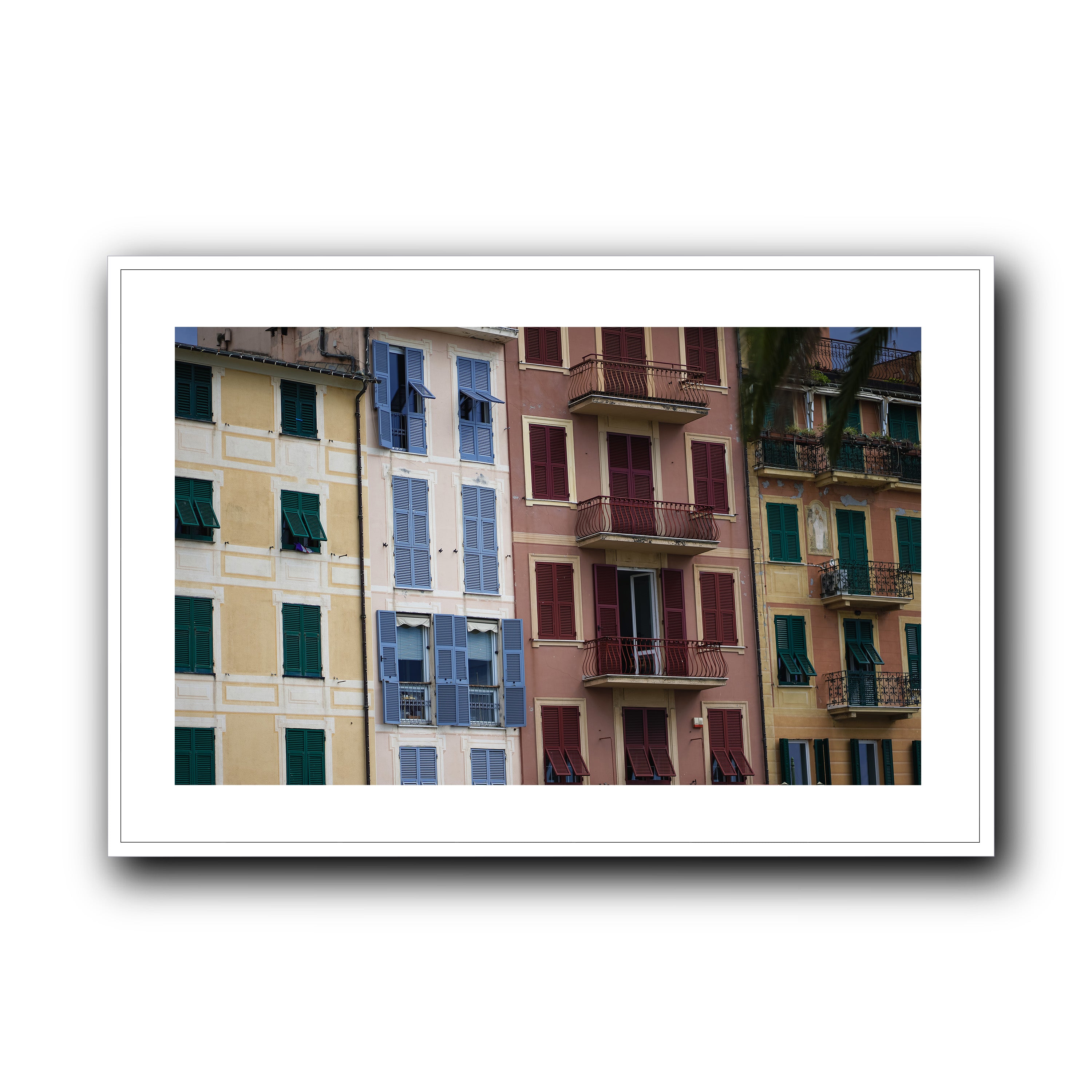 Dolce Vita Colors, Santa Margherita