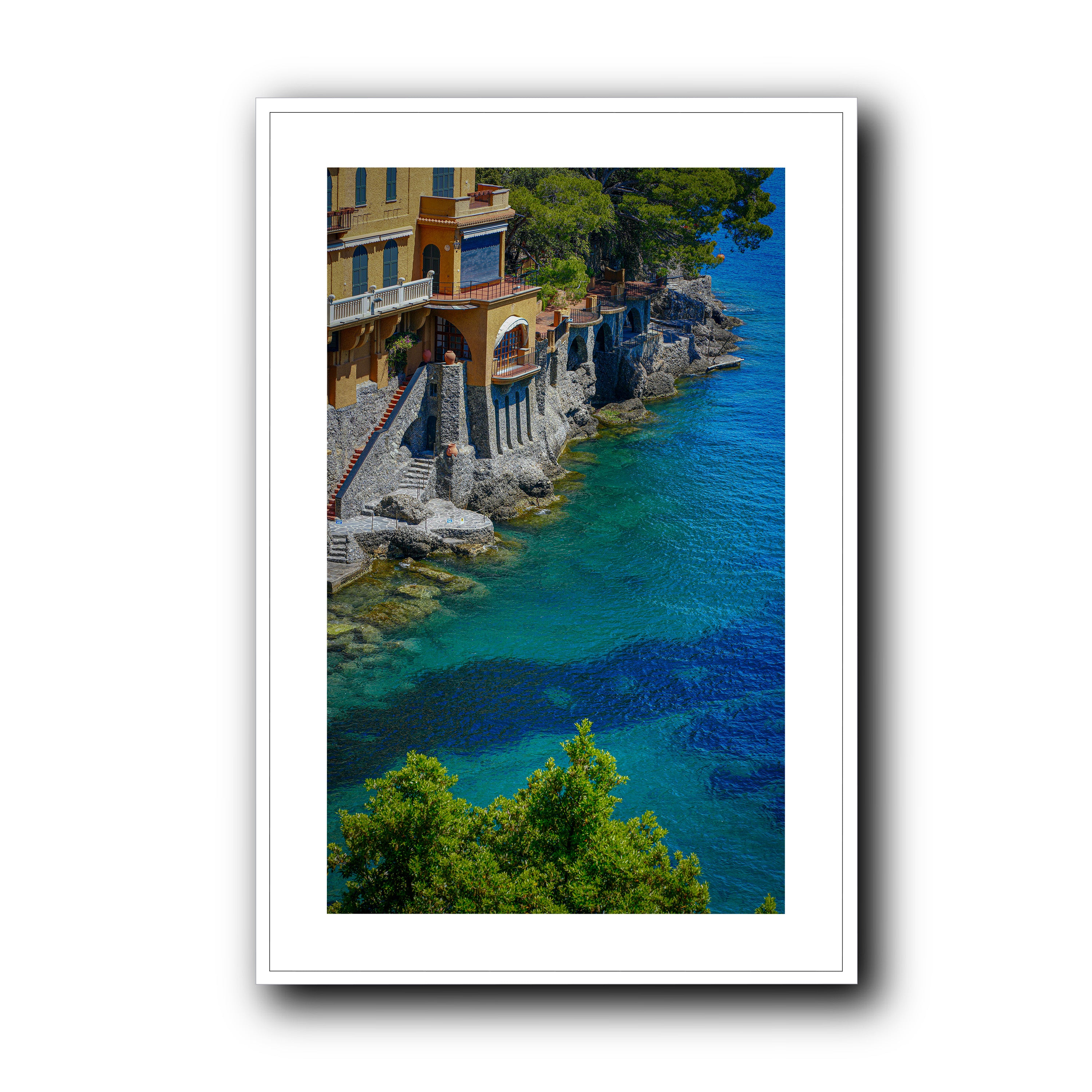 Morning Dive, Portofino