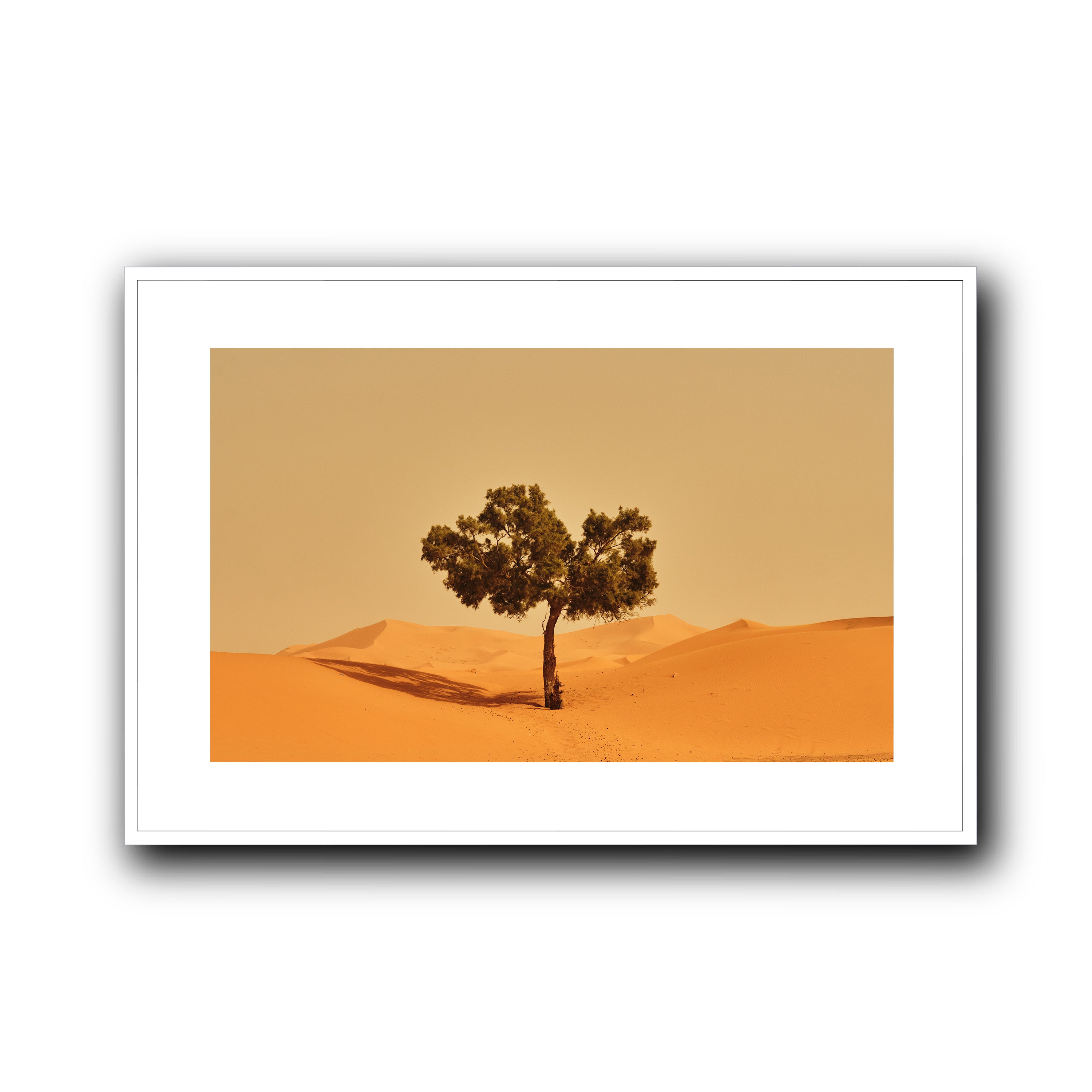 Solitude, Merzouga