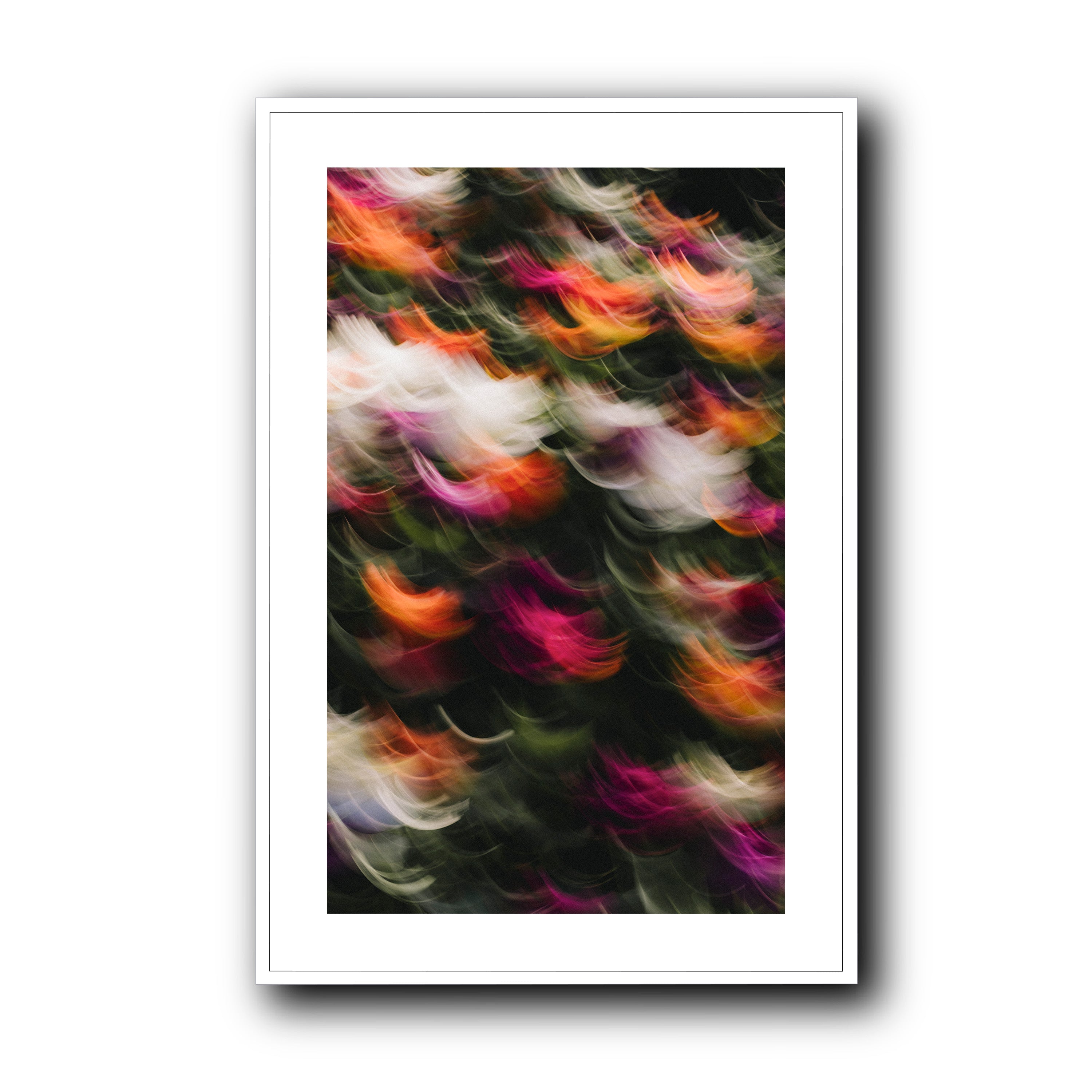 Flowers in Motion 2, Barcelona