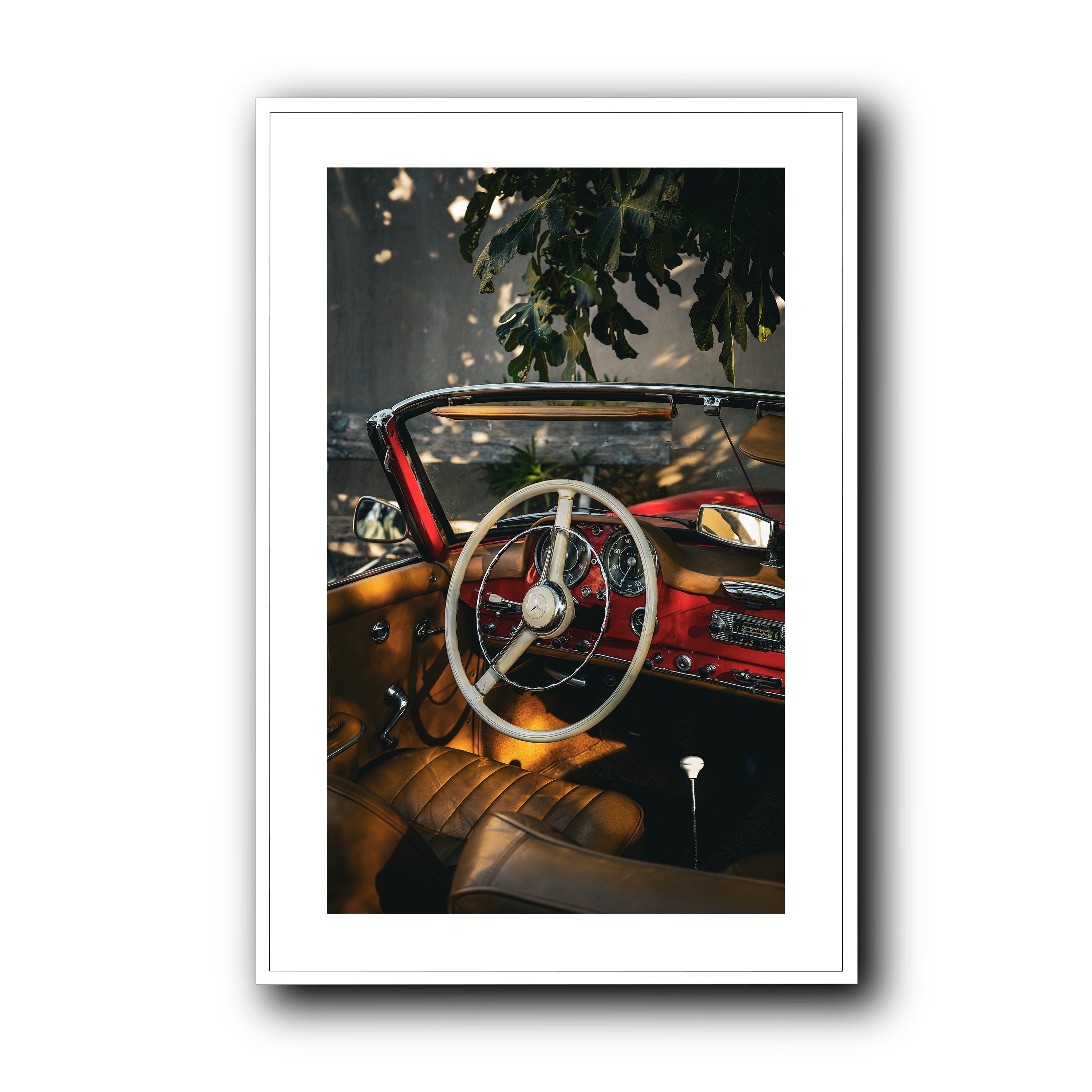 Nap Under the Fig Tree, Provence