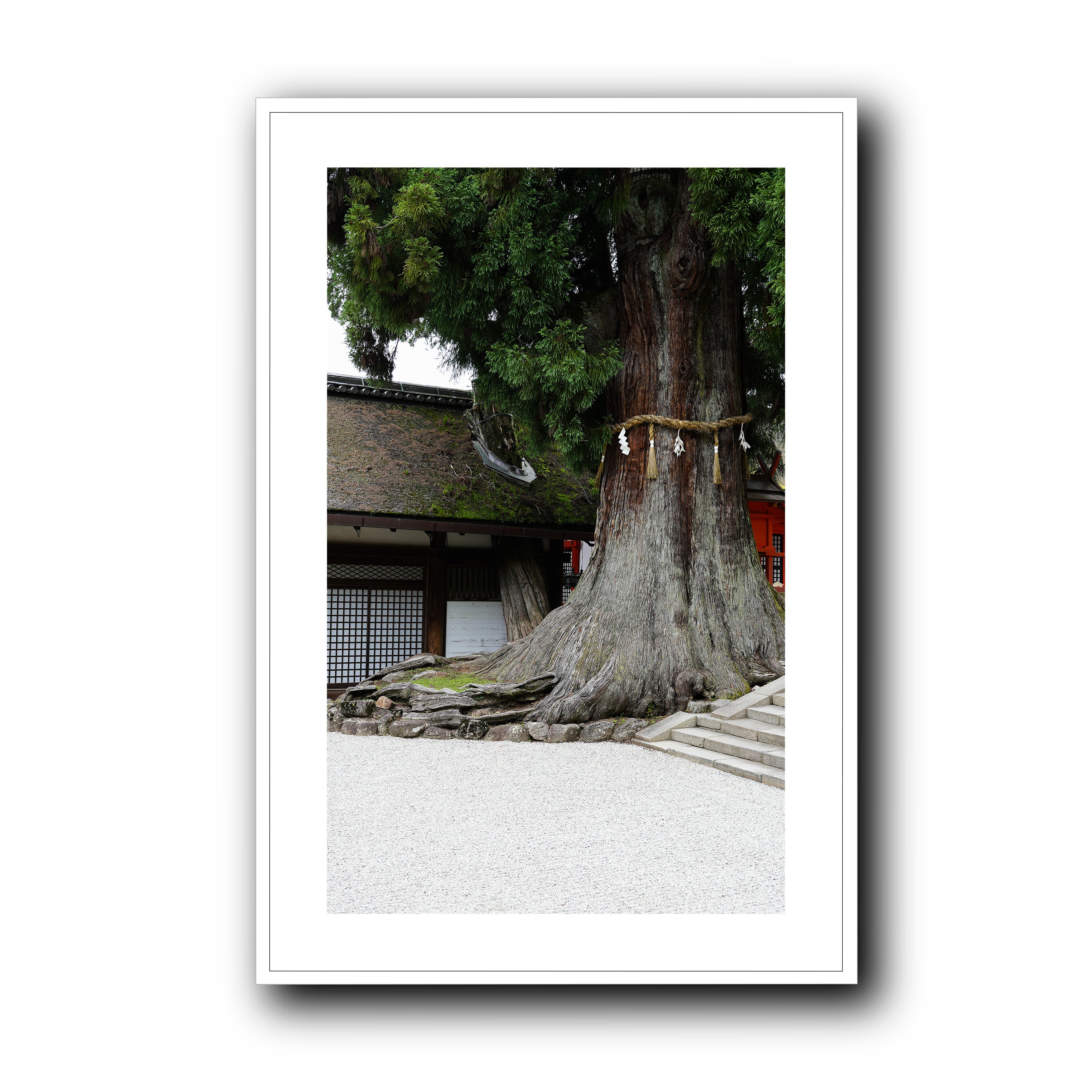 The Tree, Nara