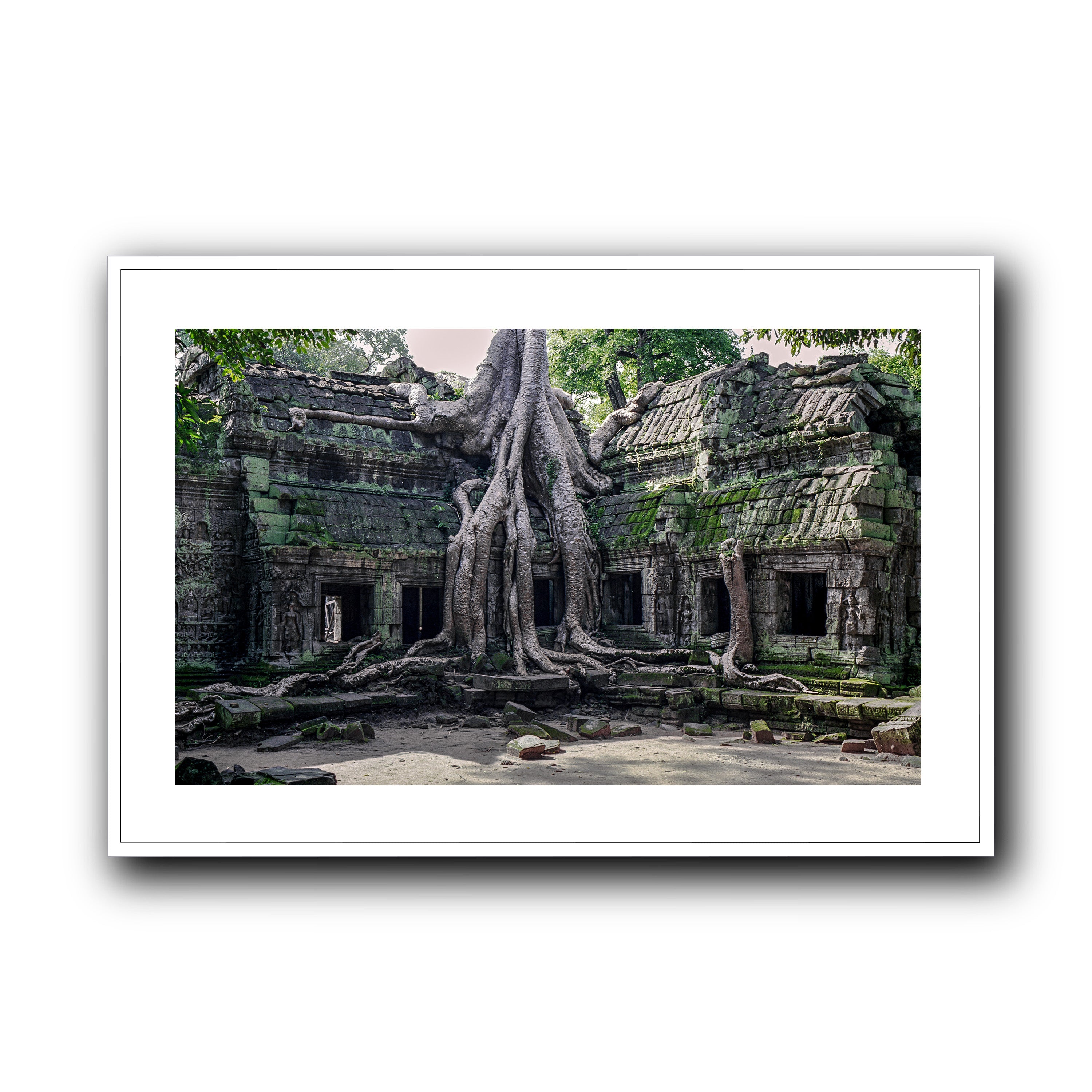 Ta Prohm, Siam Reap