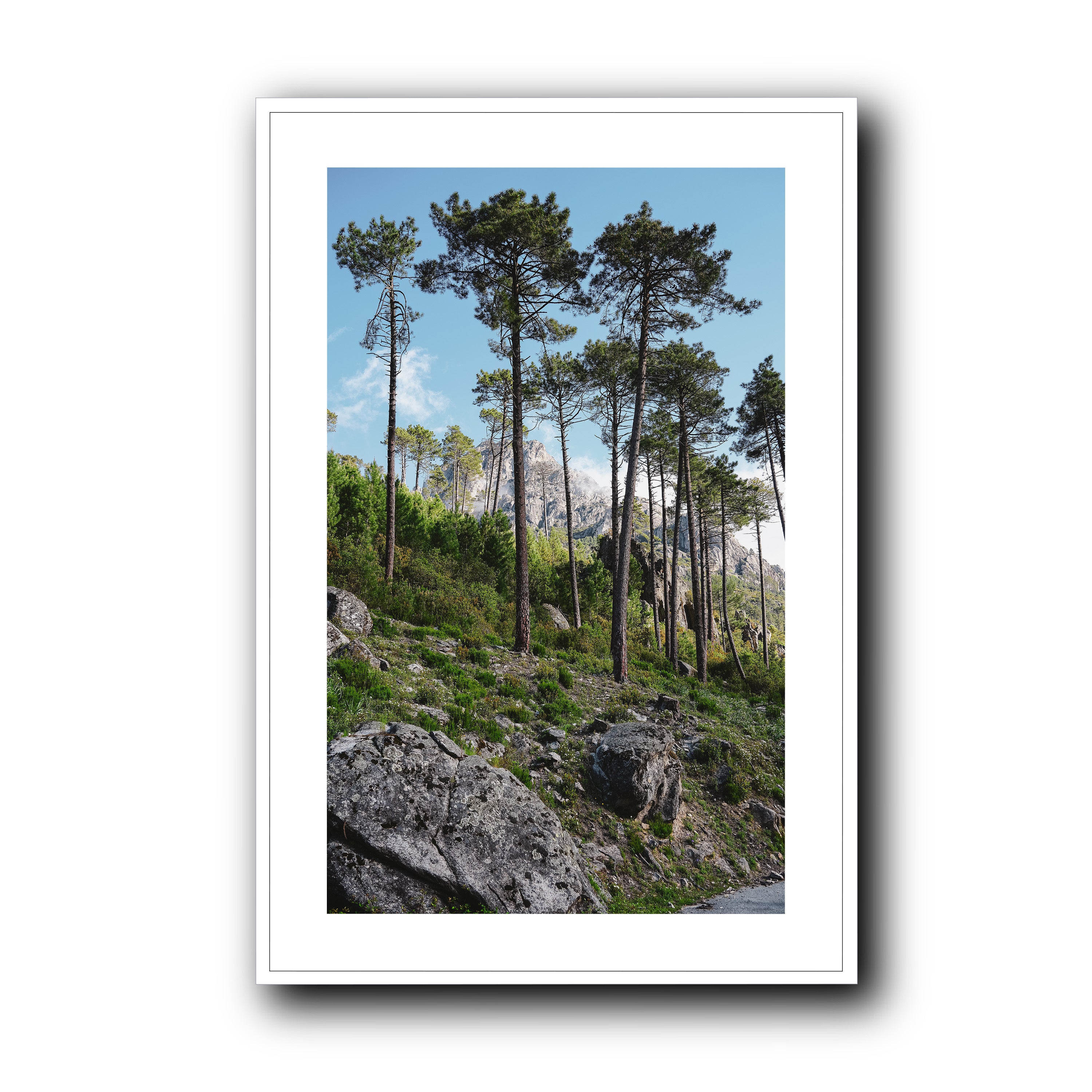 Toward the Sky, Corsica