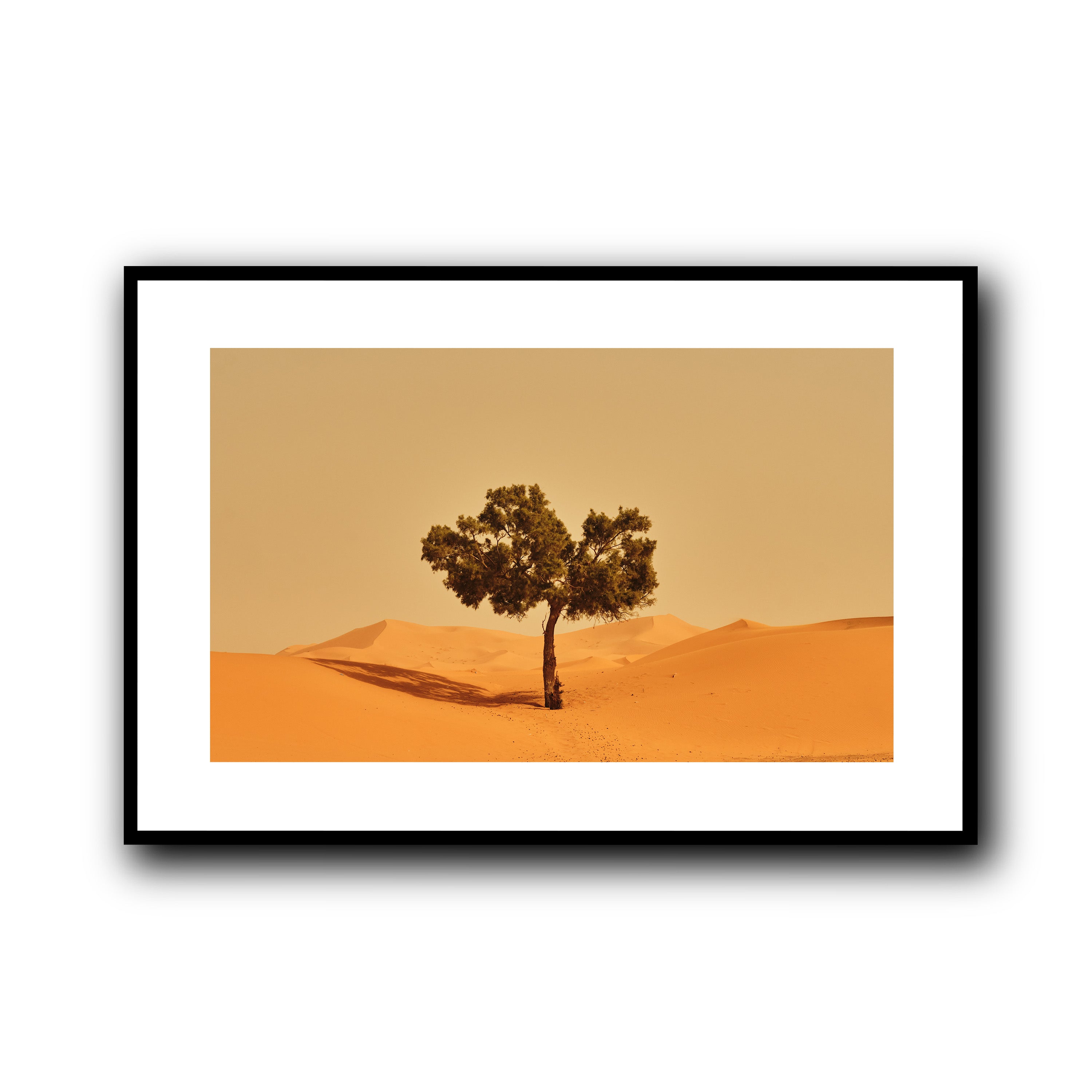 Solitude, Merzouga