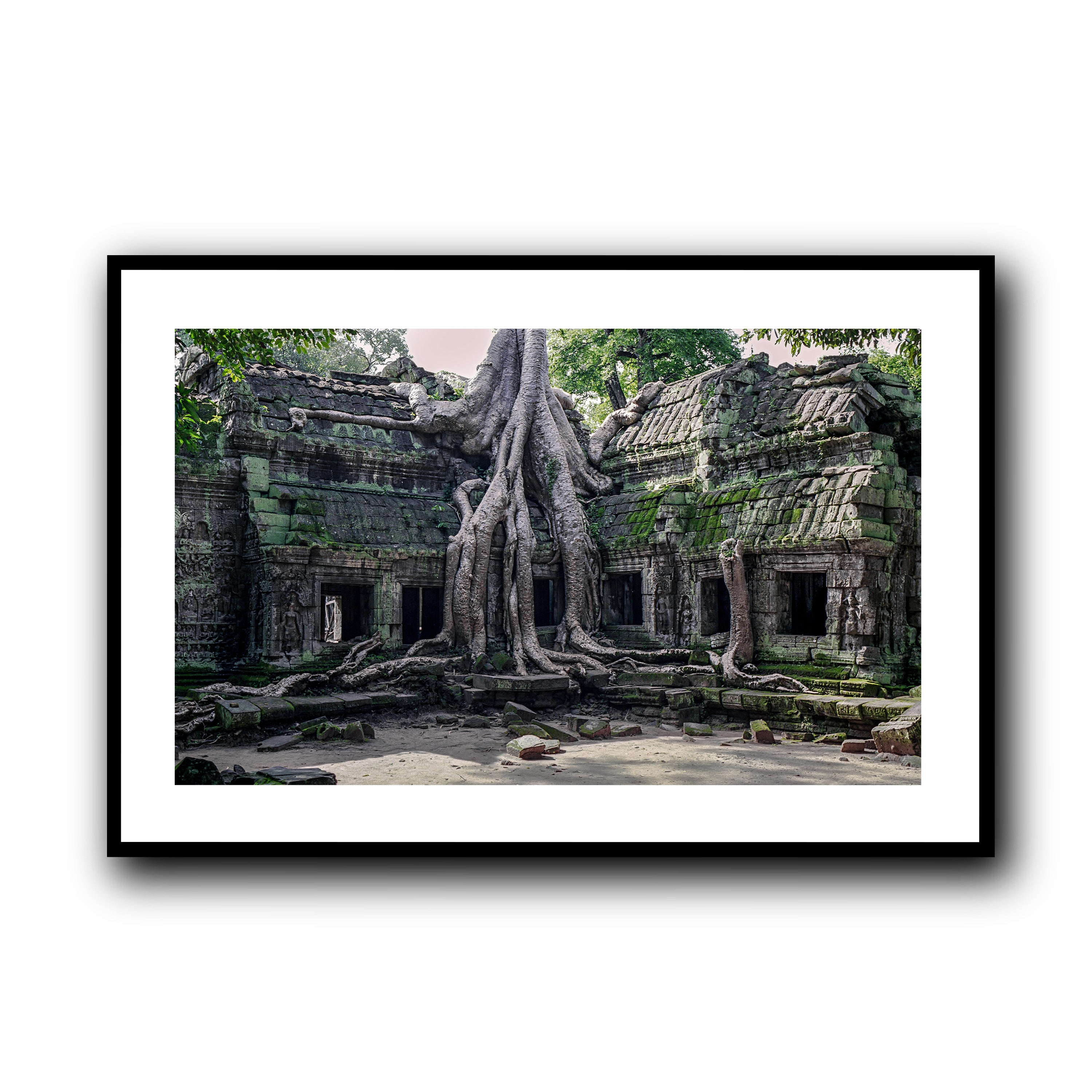 Ta Prohm, Siam Reap