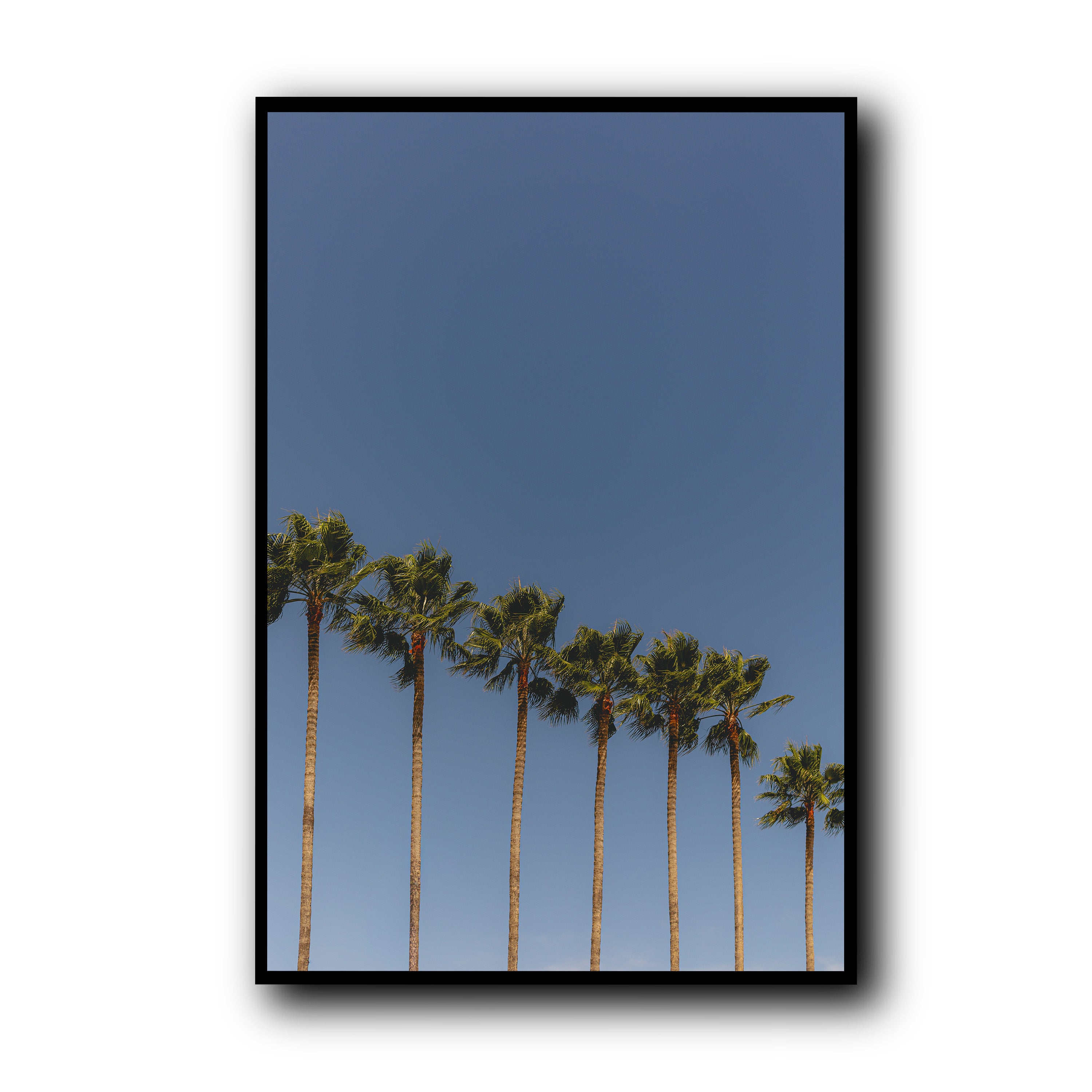 Summer Wind, Menton