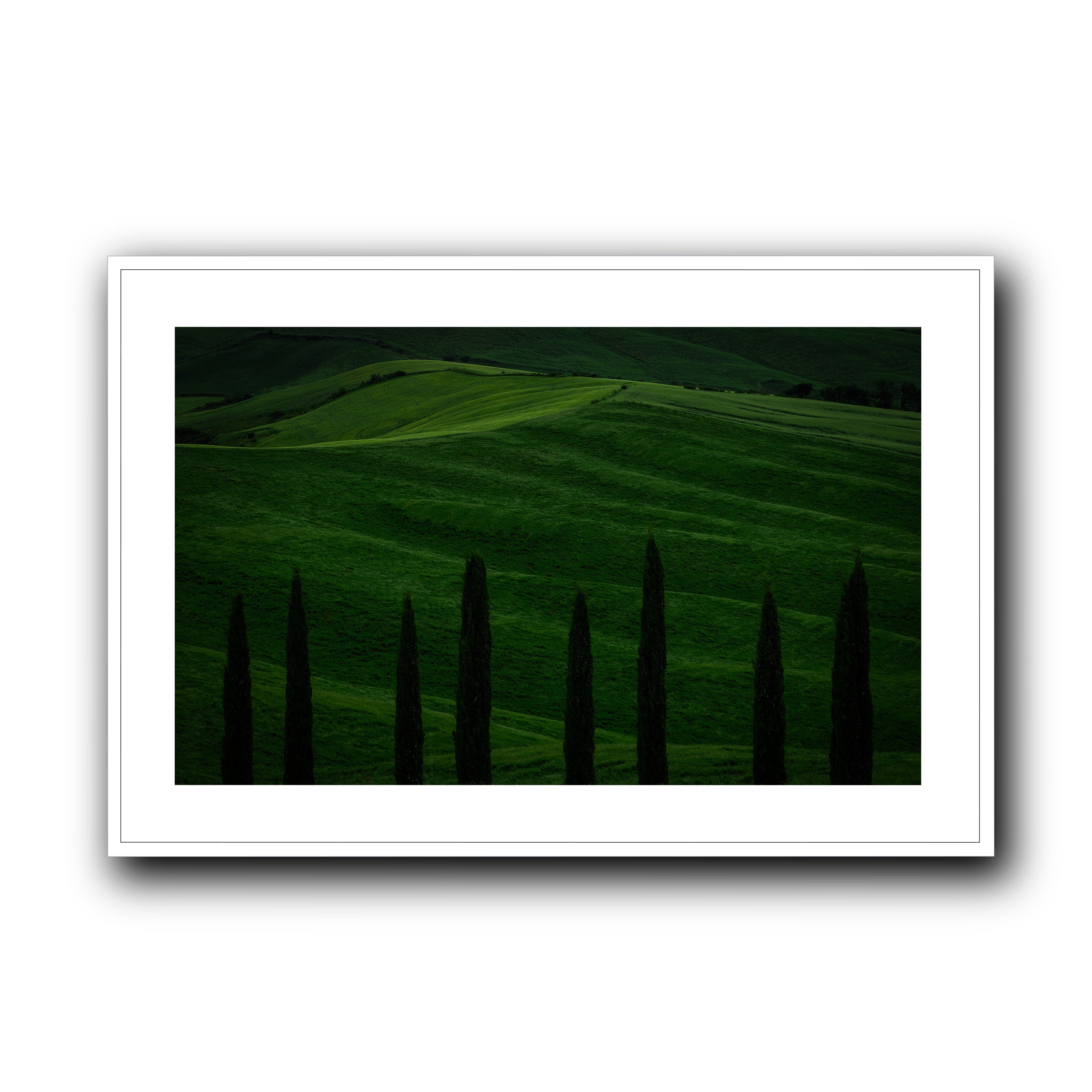 Green Fields, Tuscany