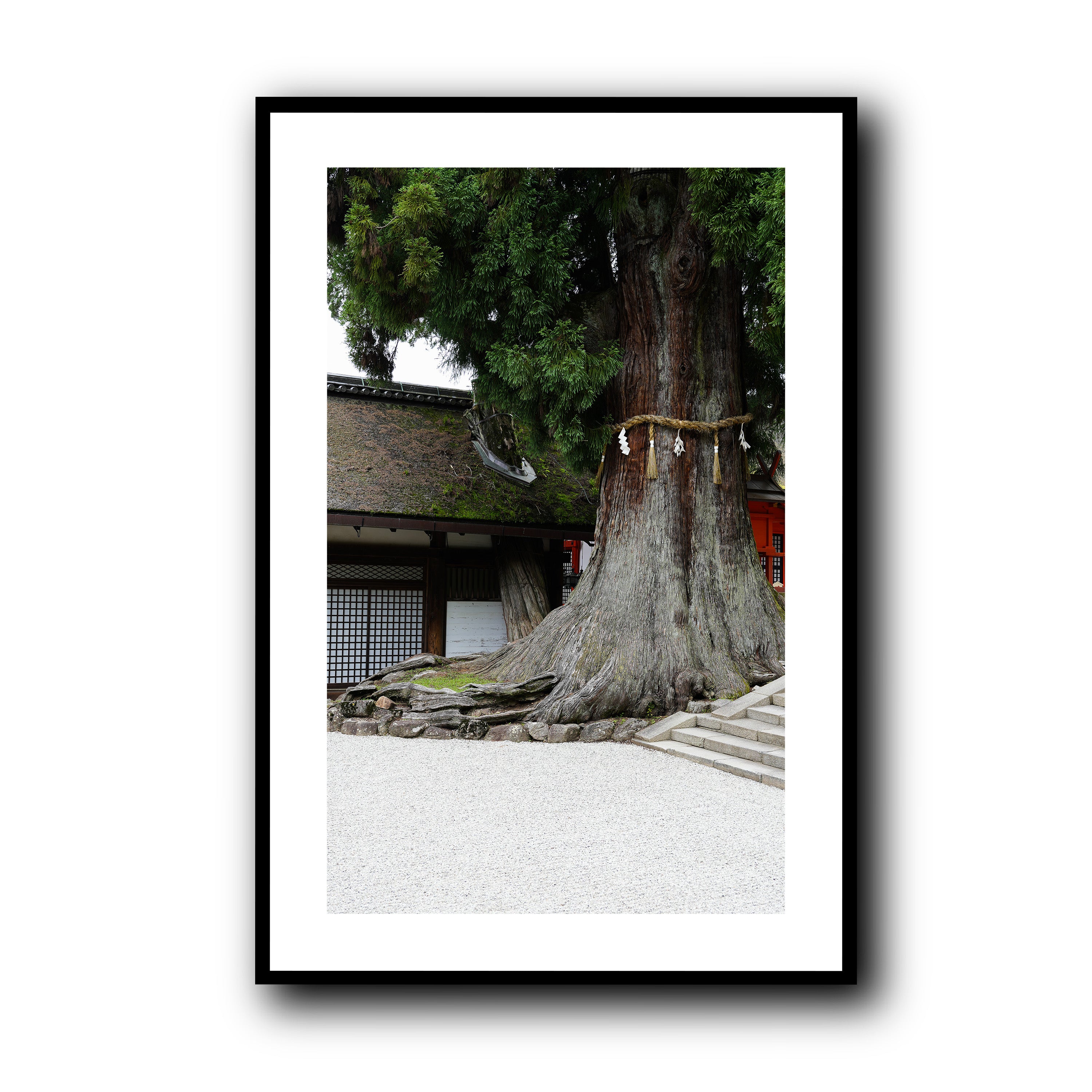 The Tree, Nara