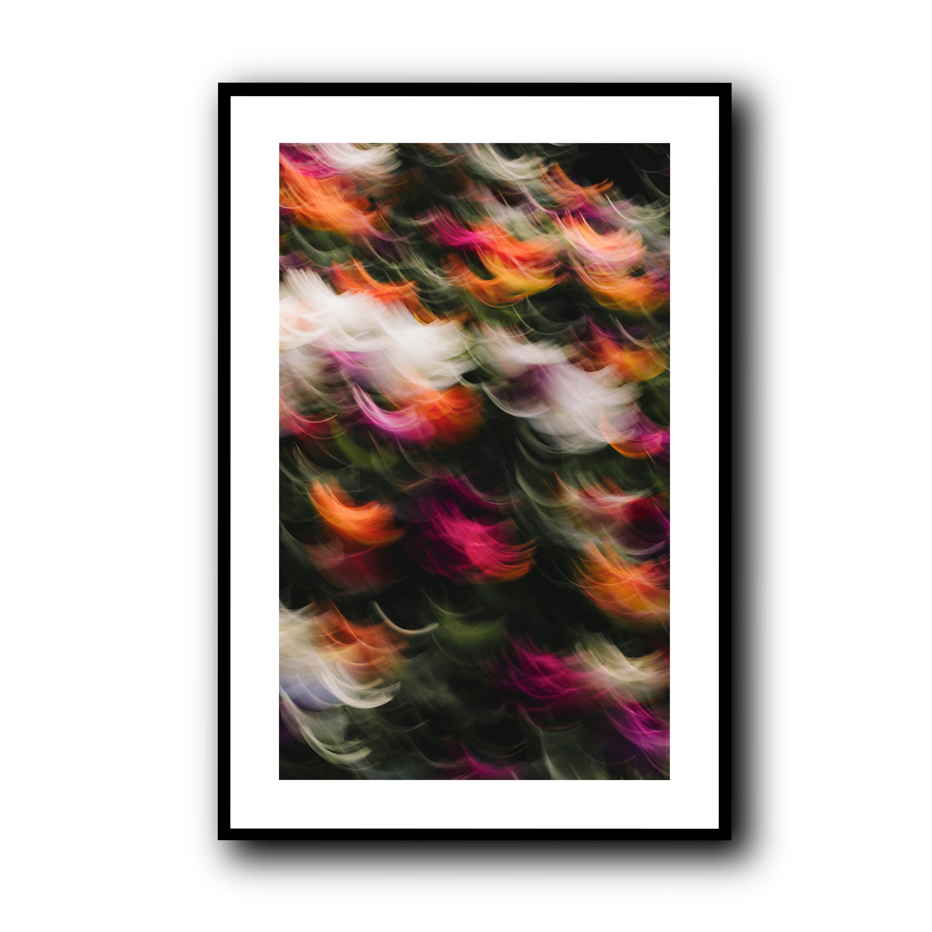 Flowers in Motion 2, Barcelona