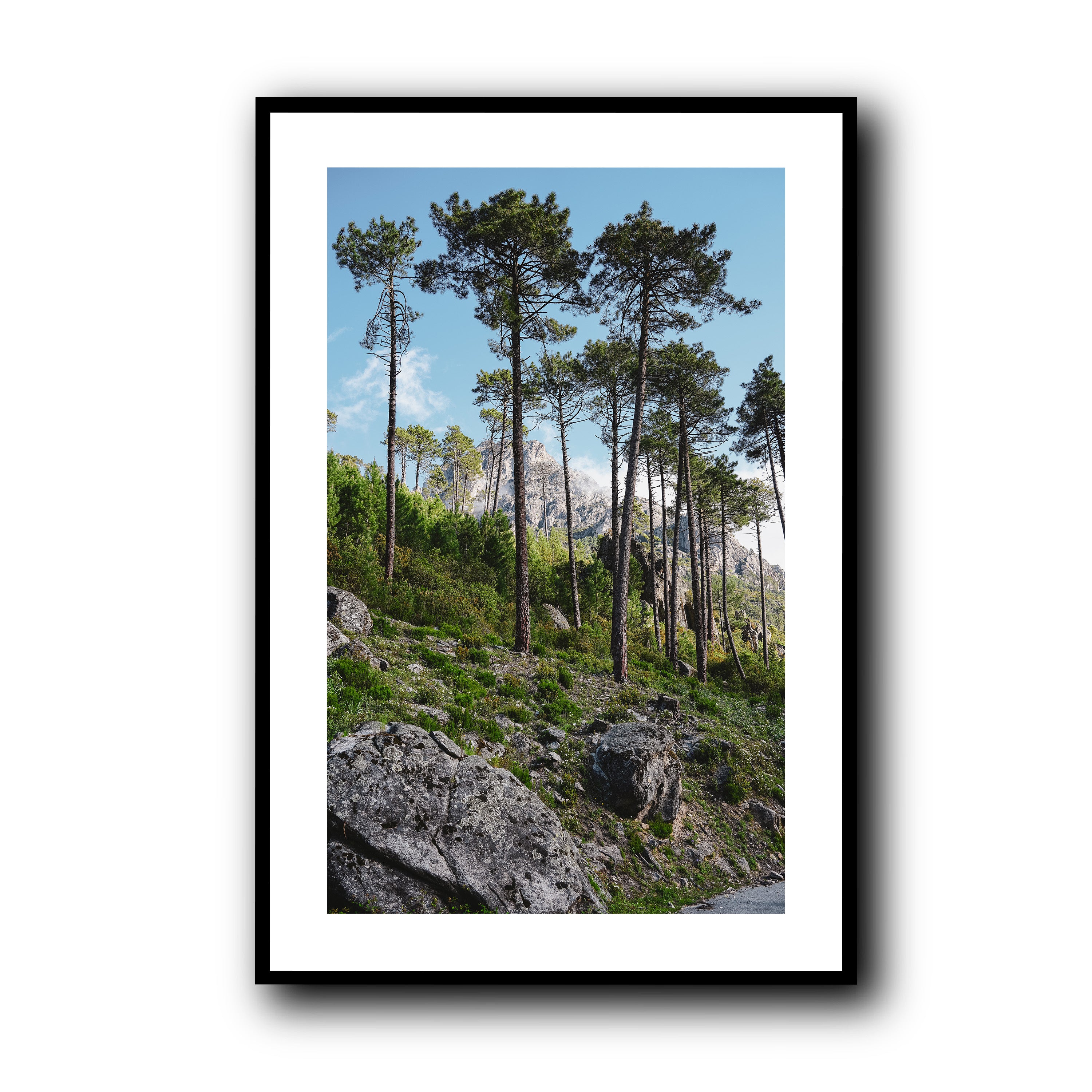 Toward the Sky, Corsica