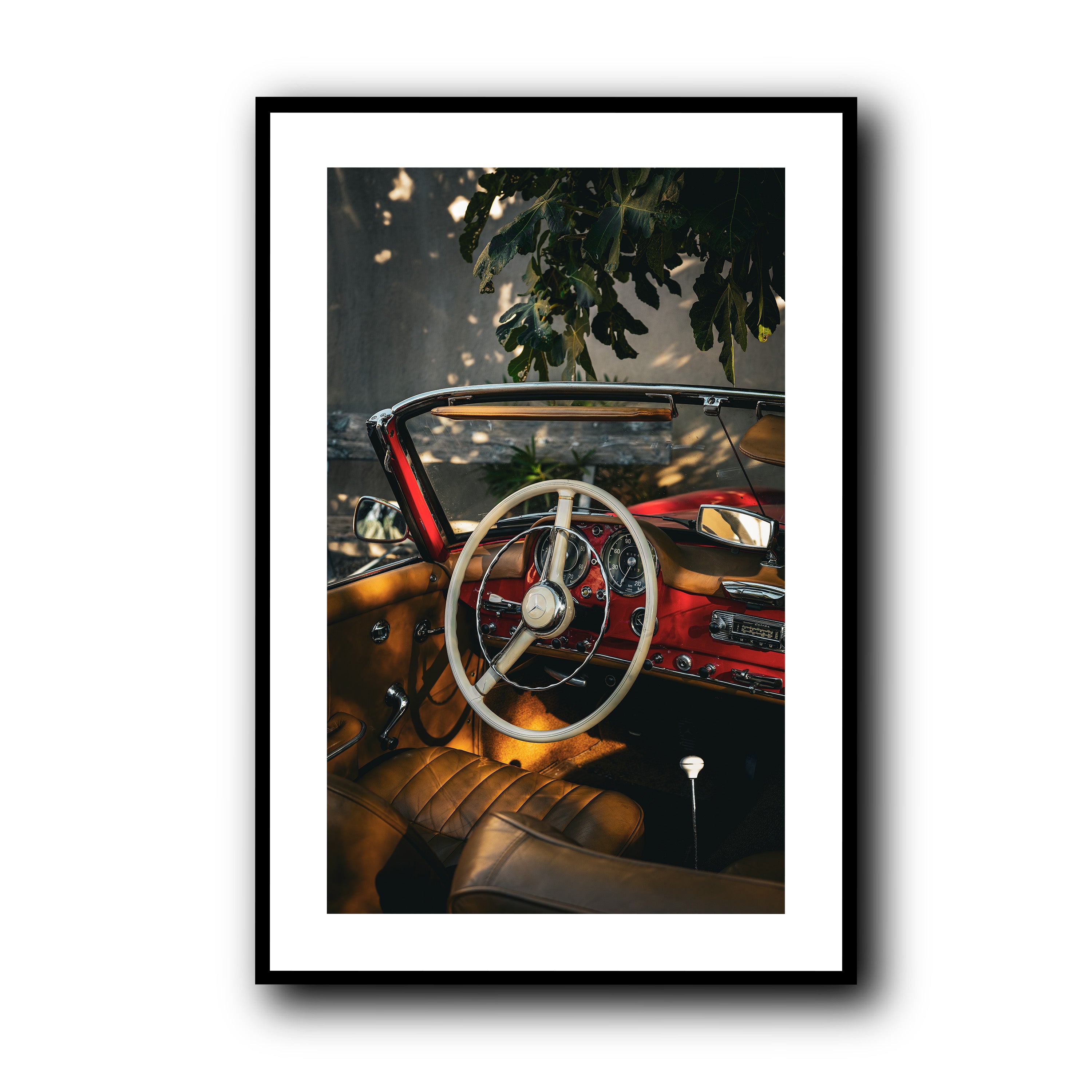 Nap Under the Fig Tree, Provence