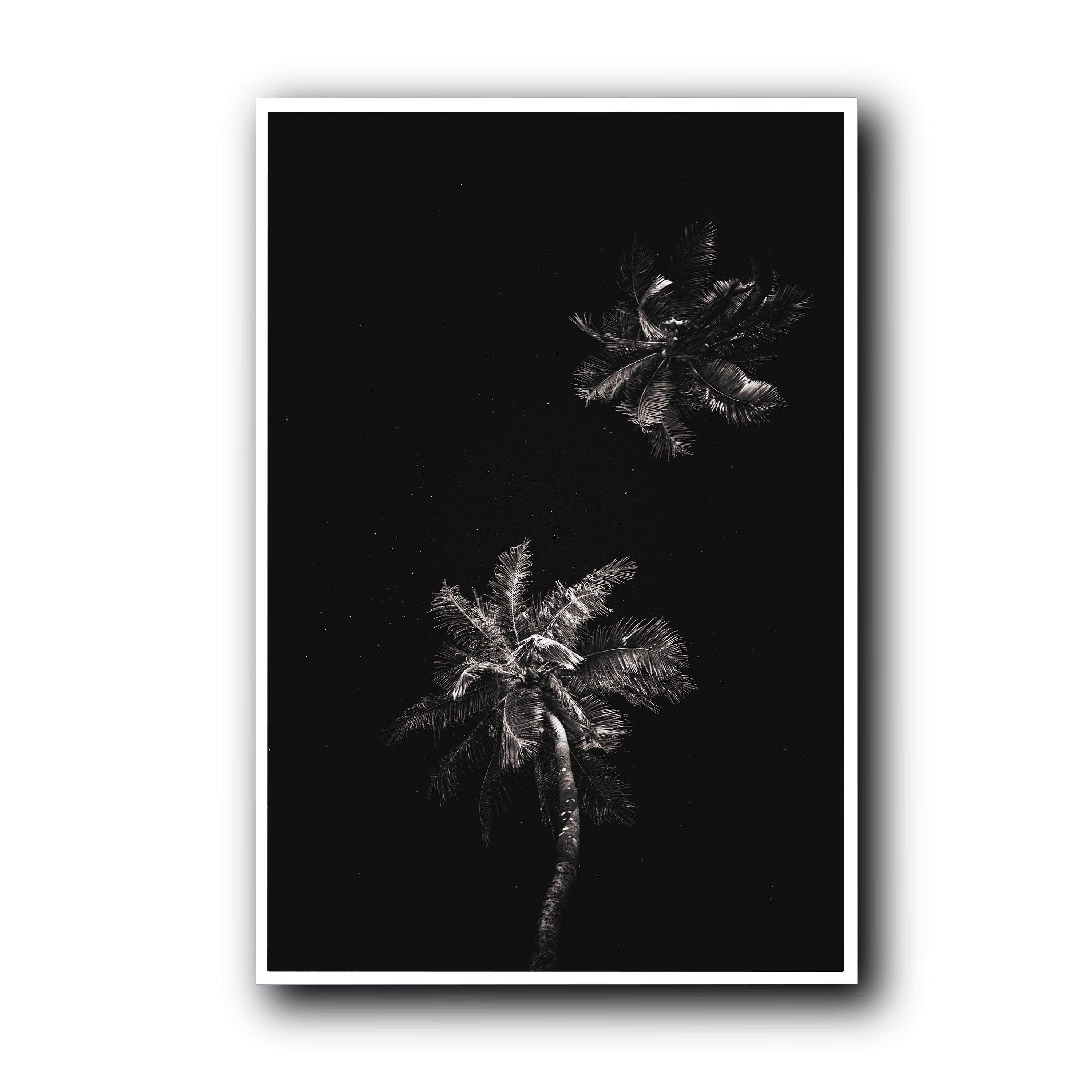 Dark Coco, Tahiti