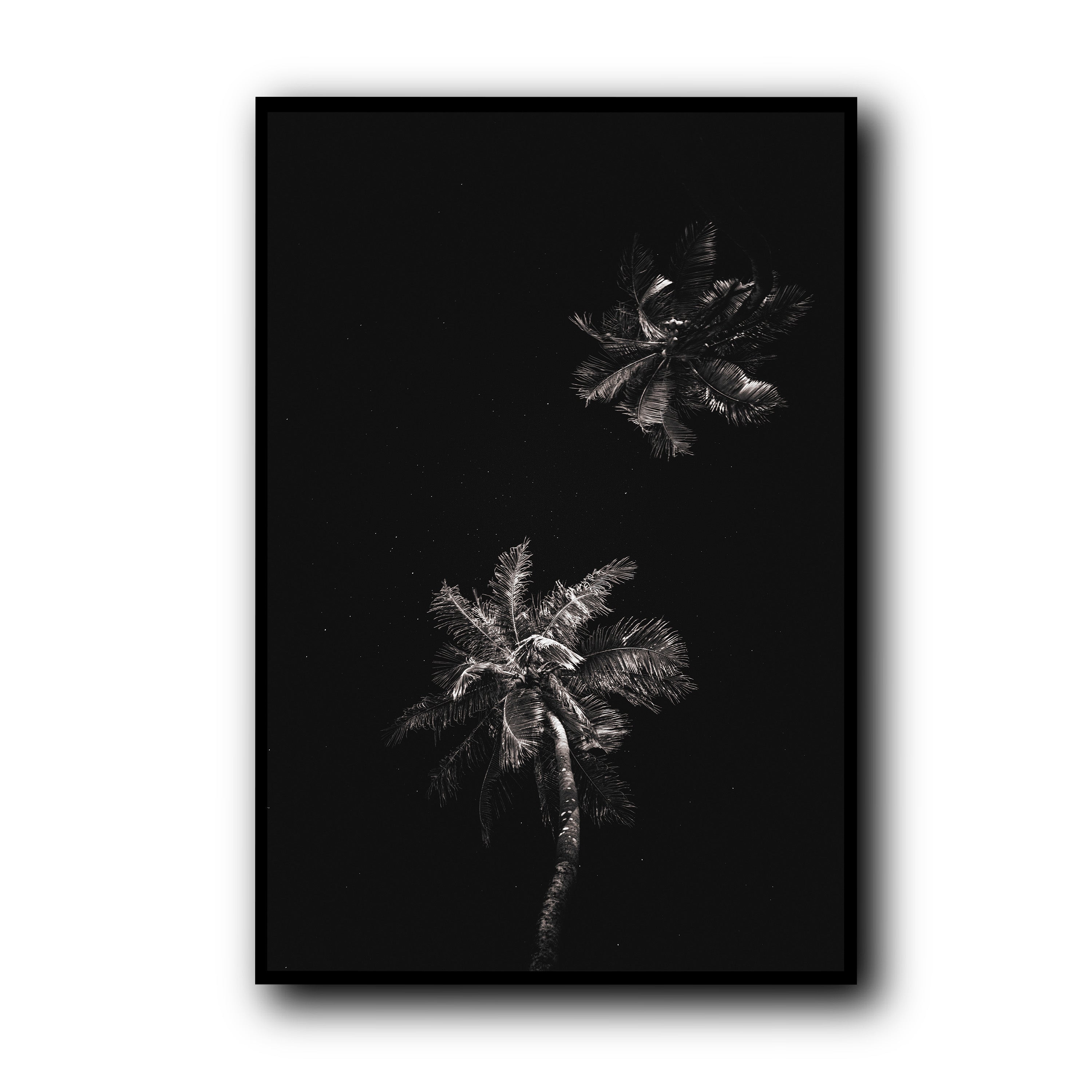 Dark Coco, Tahiti