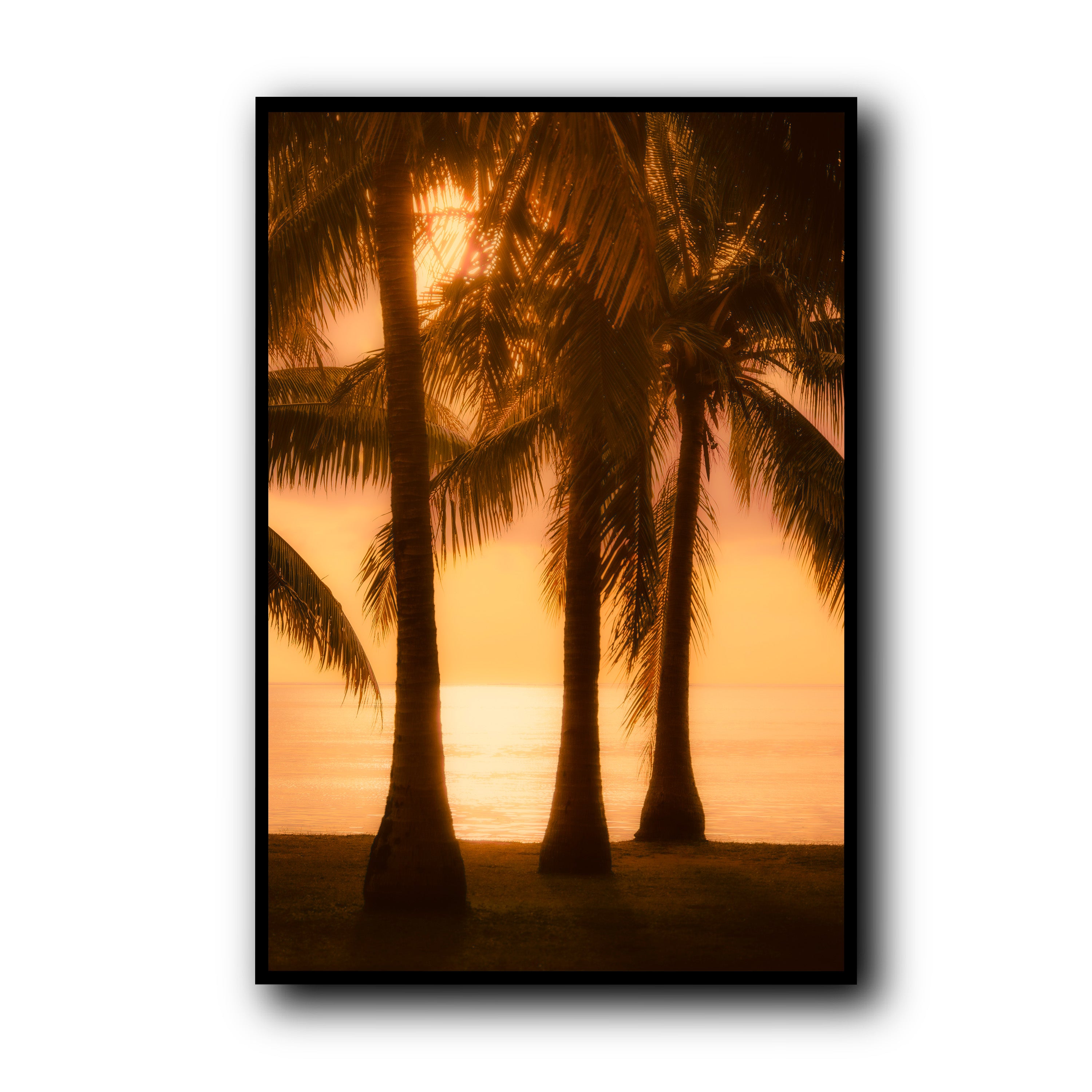 By the Seaside, Rangiroa
