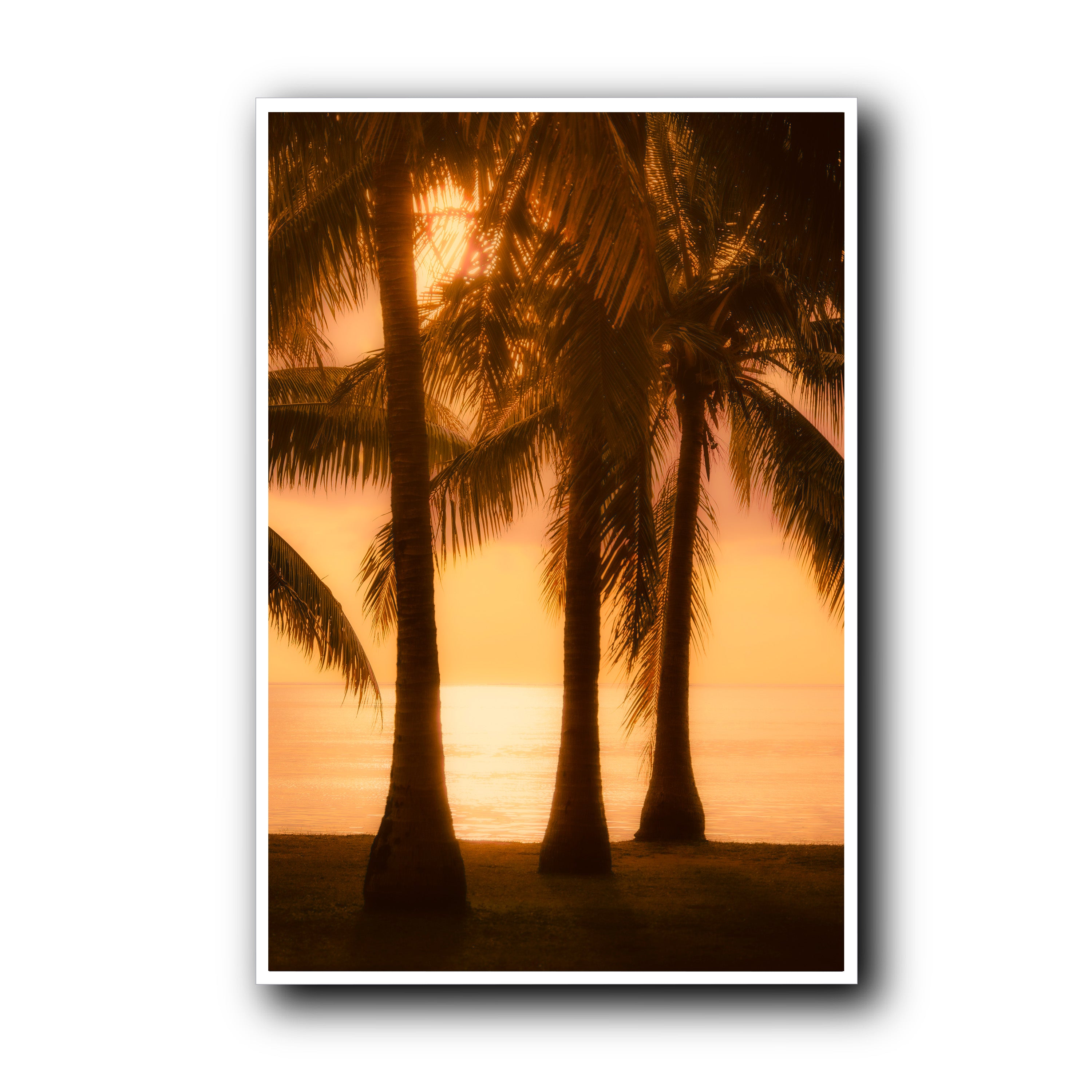 By the Seaside, Rangiroa