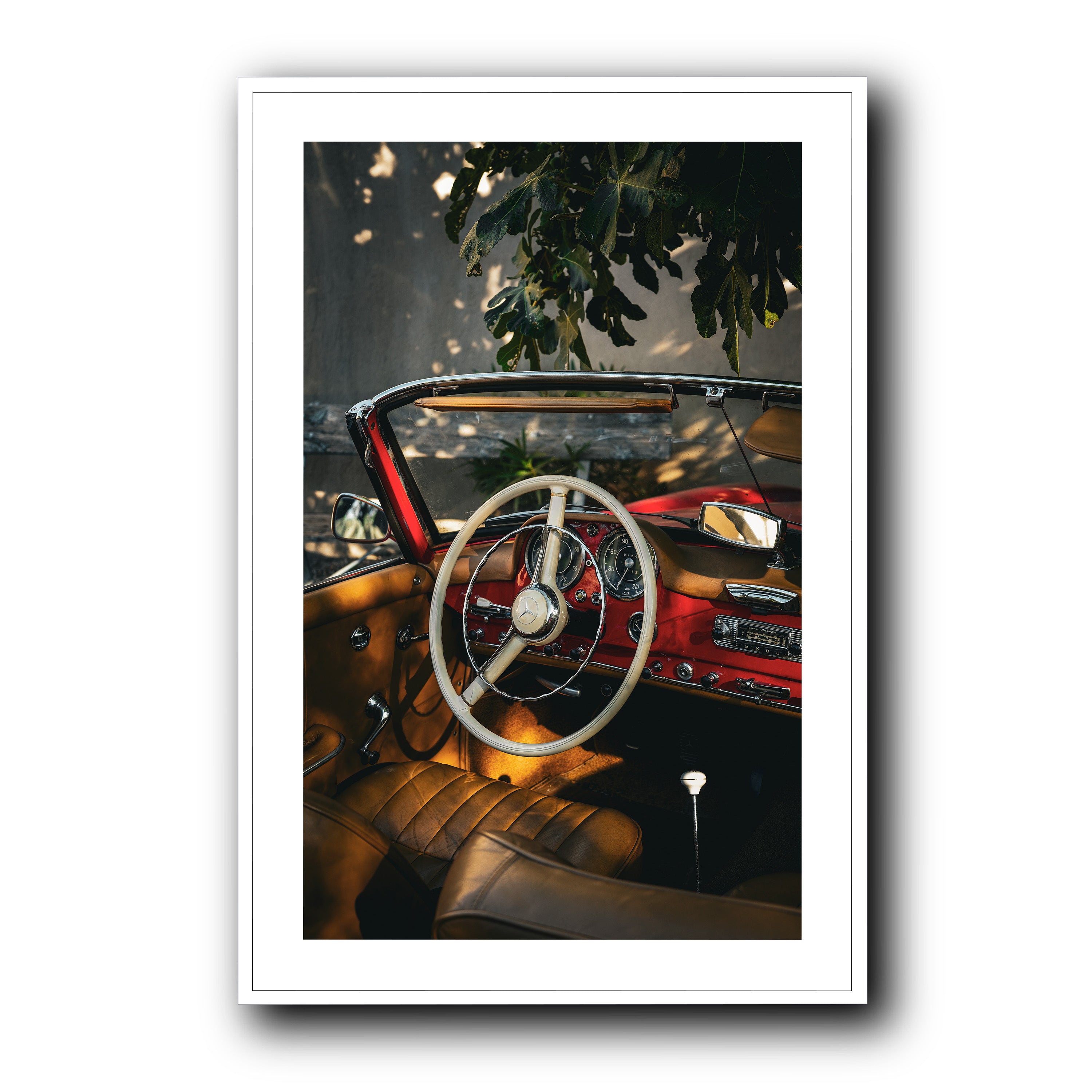 Nap Under the Fig Tree, Provence