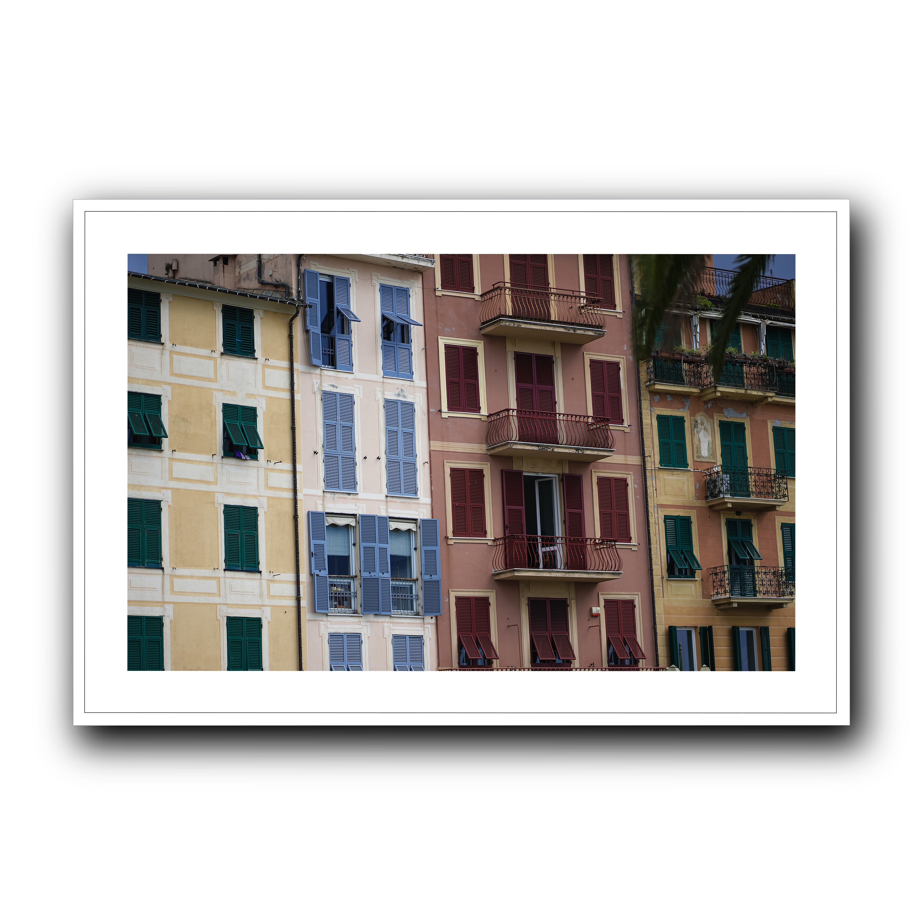 Dolce Vita Colors, Santa Margherita