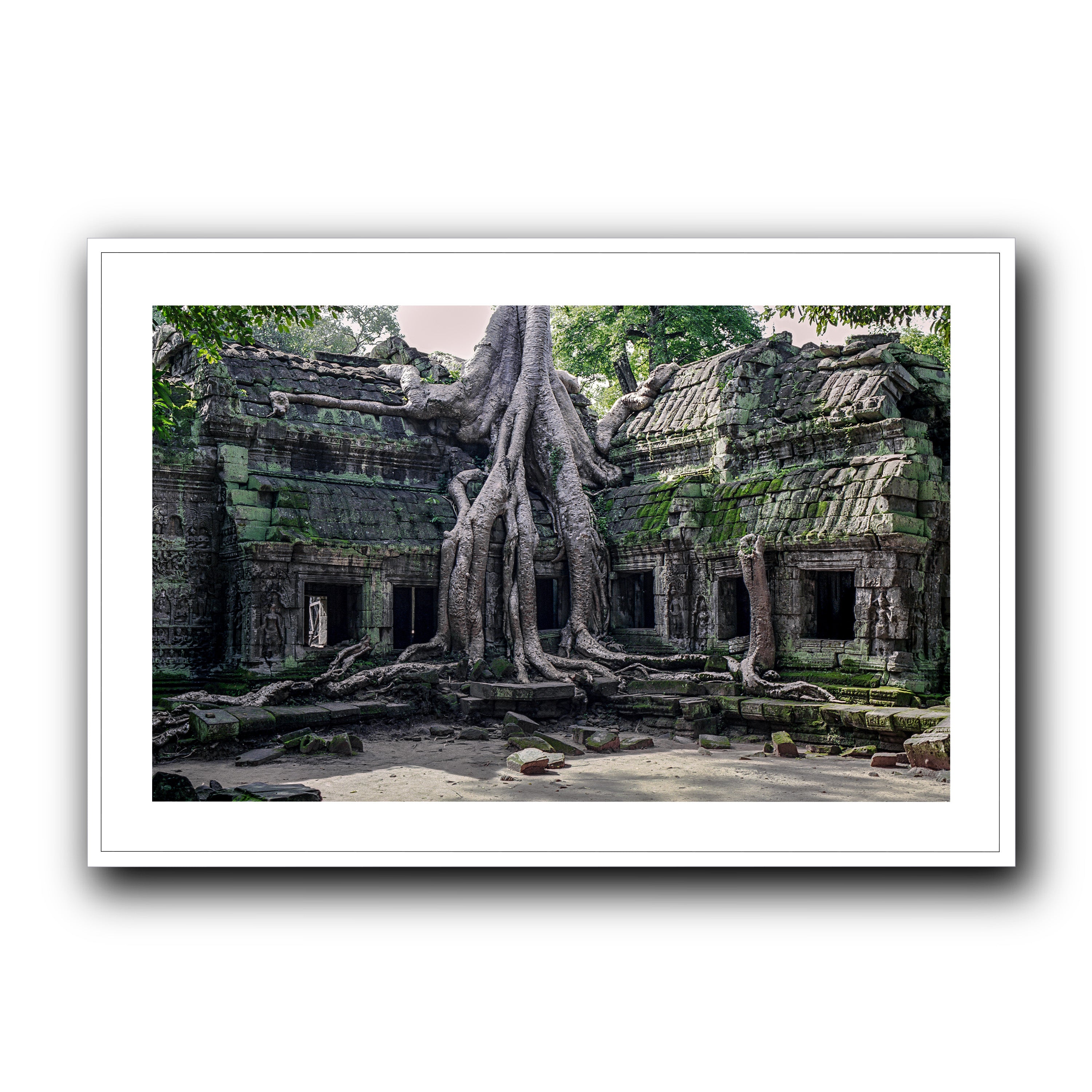 Ta Prohm, Siam Reap