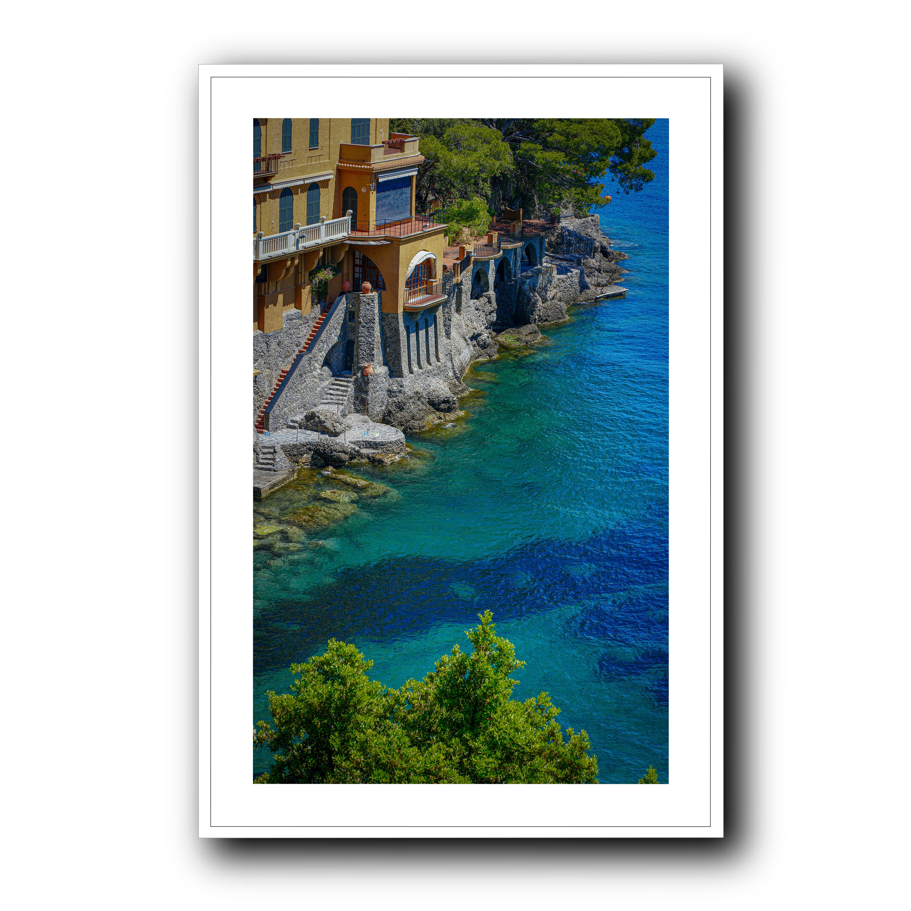 Morning Dive, Portofino