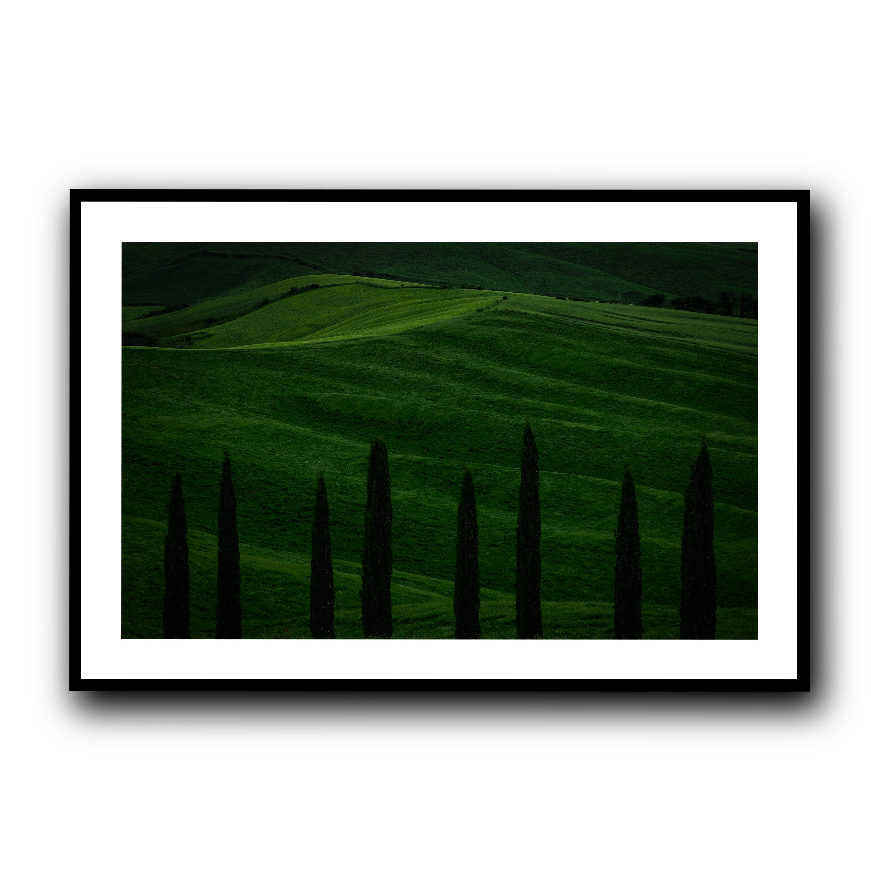 Green Fields, Tuscany