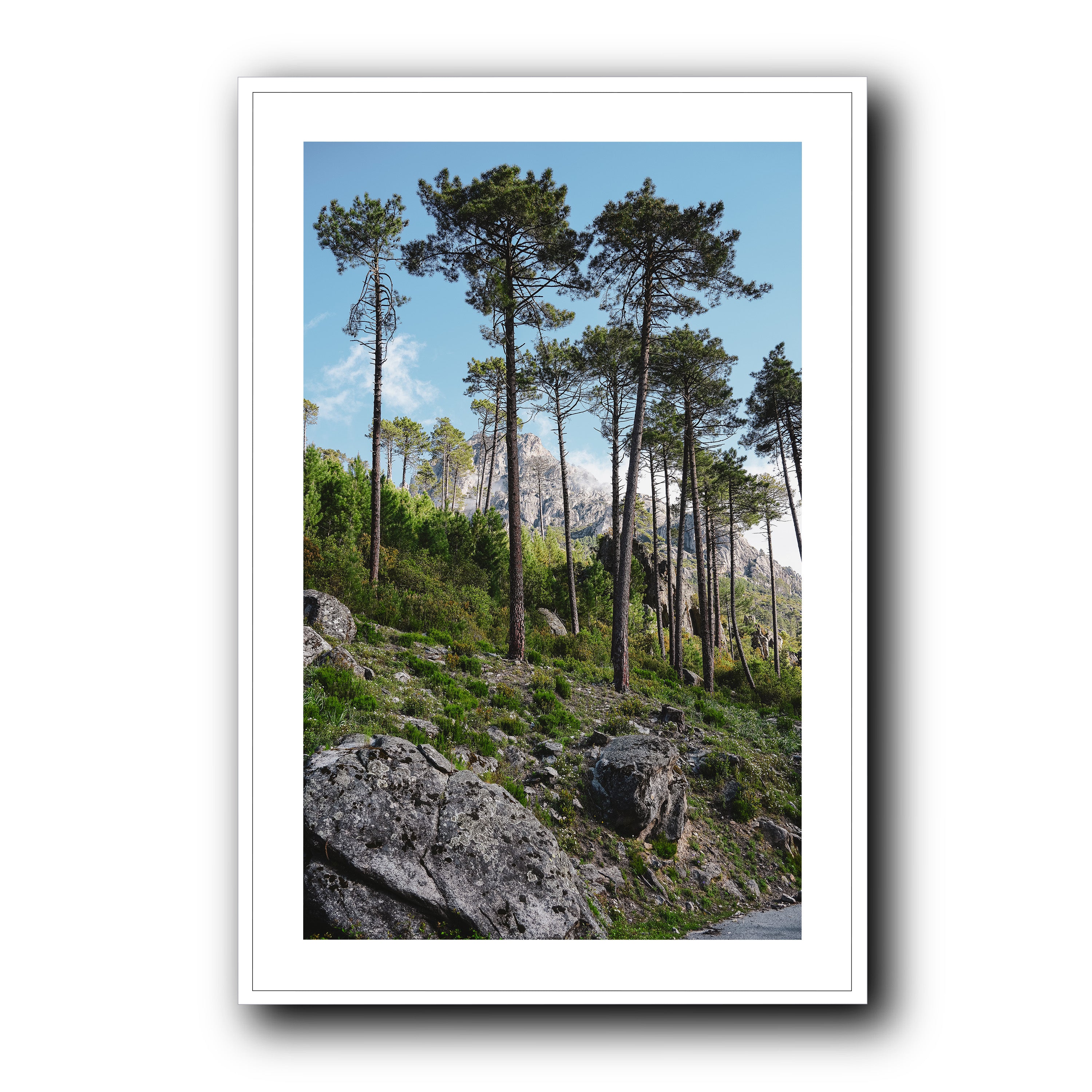 Toward the Sky, Corsica