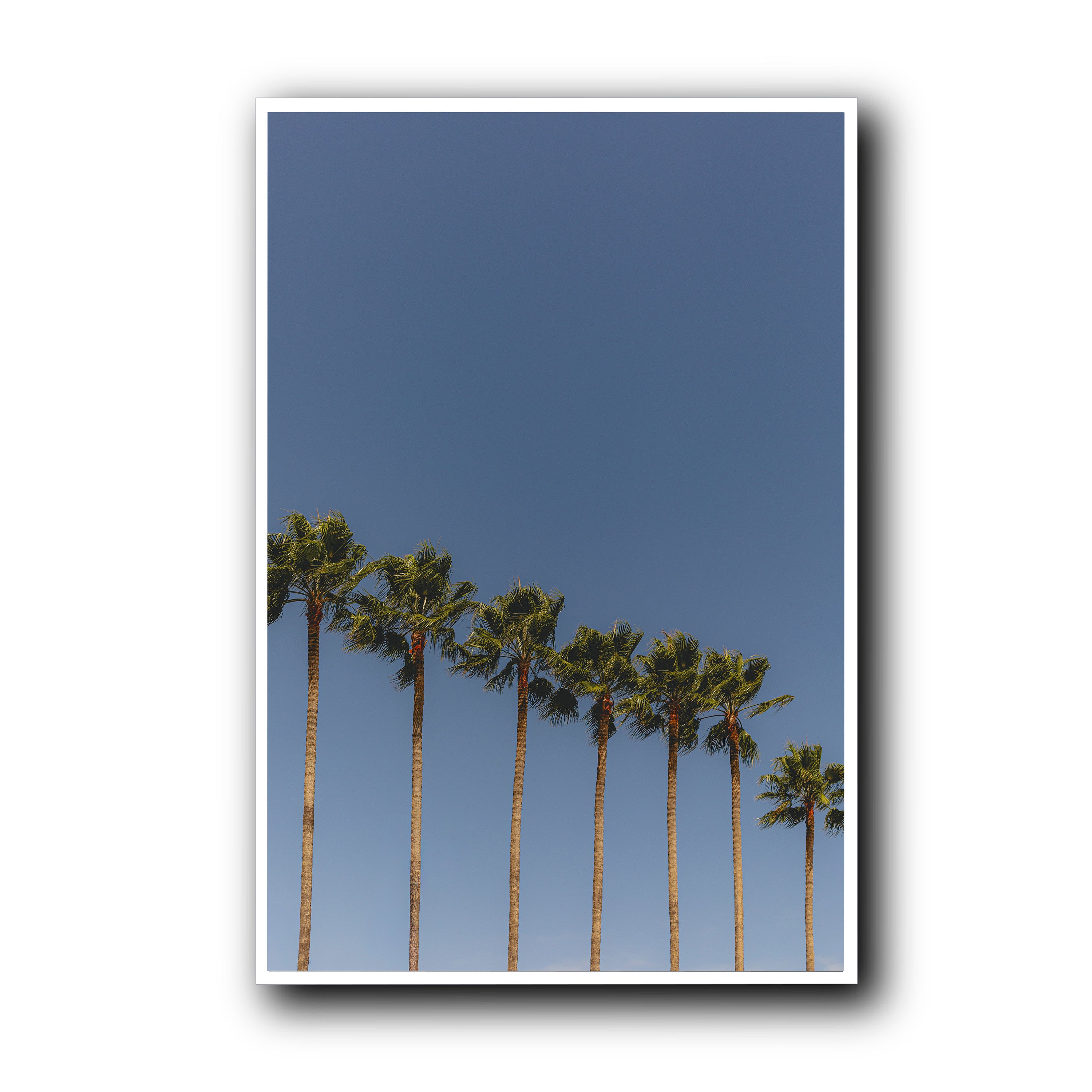 Summer Wind, Menton