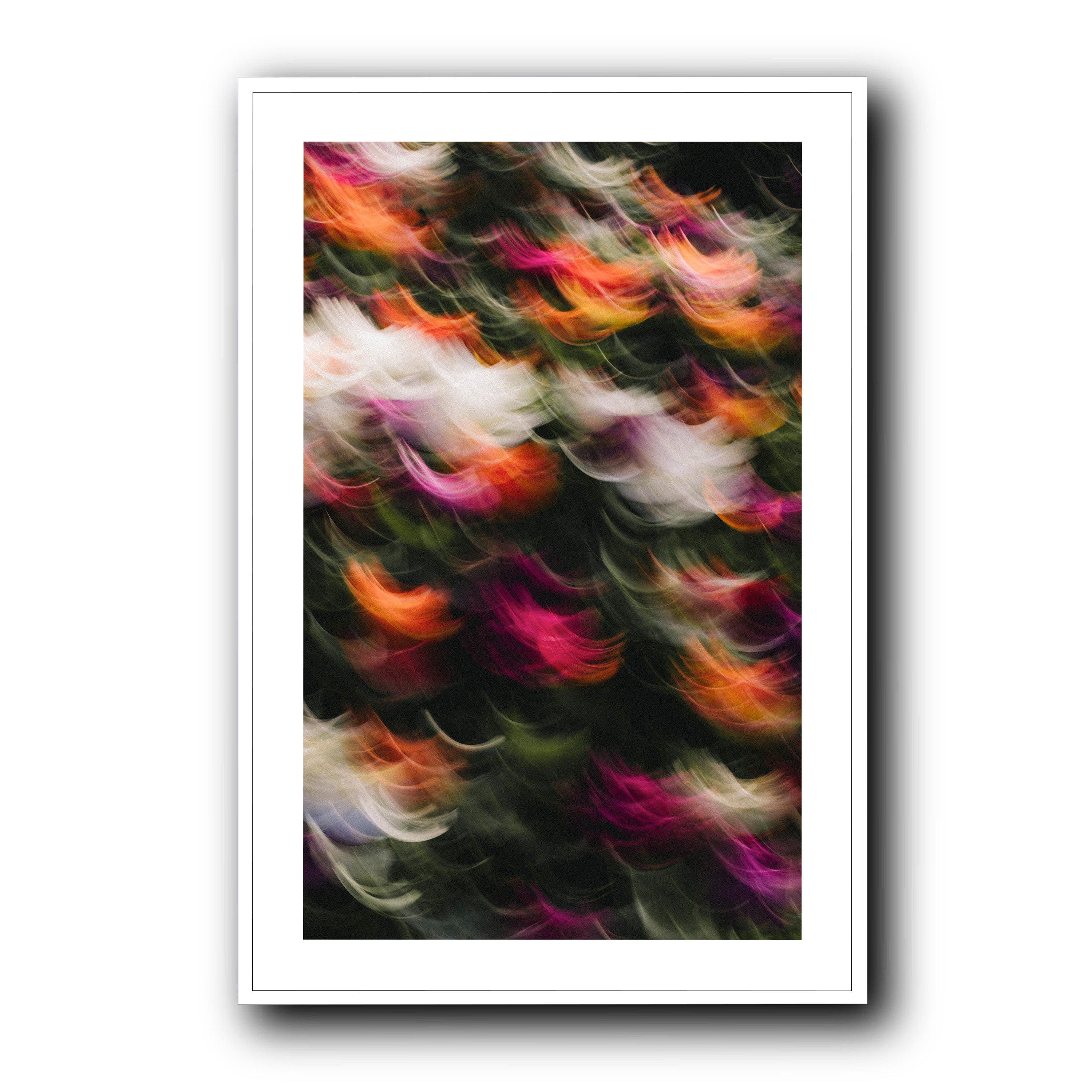Flowers in Motion 2, Barcelona