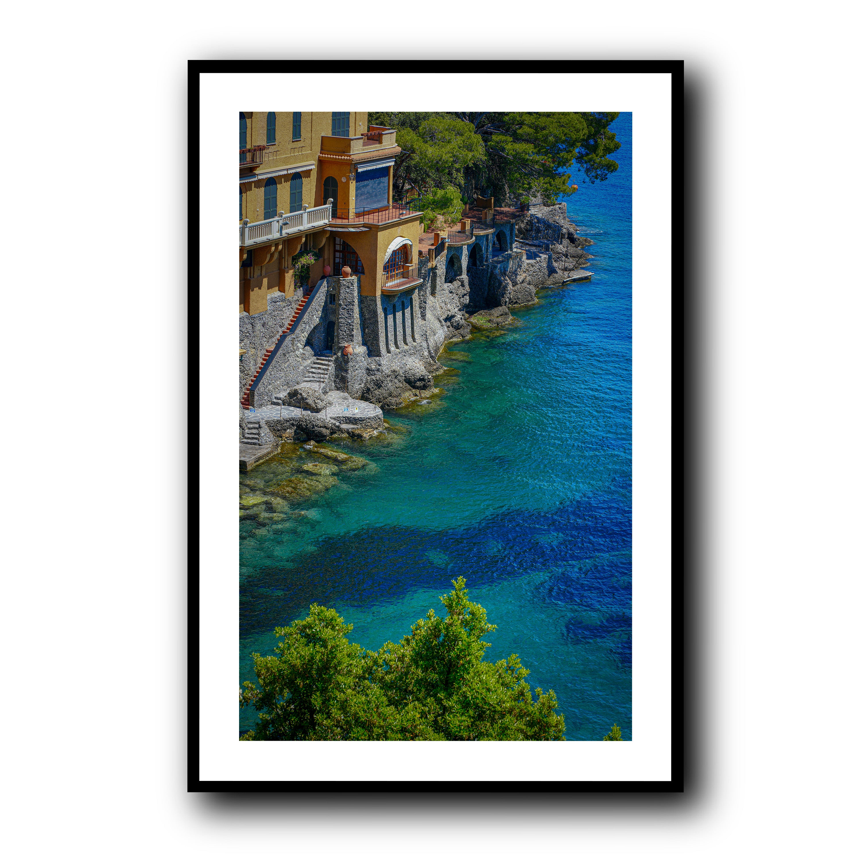 Morning Dive, Portofino