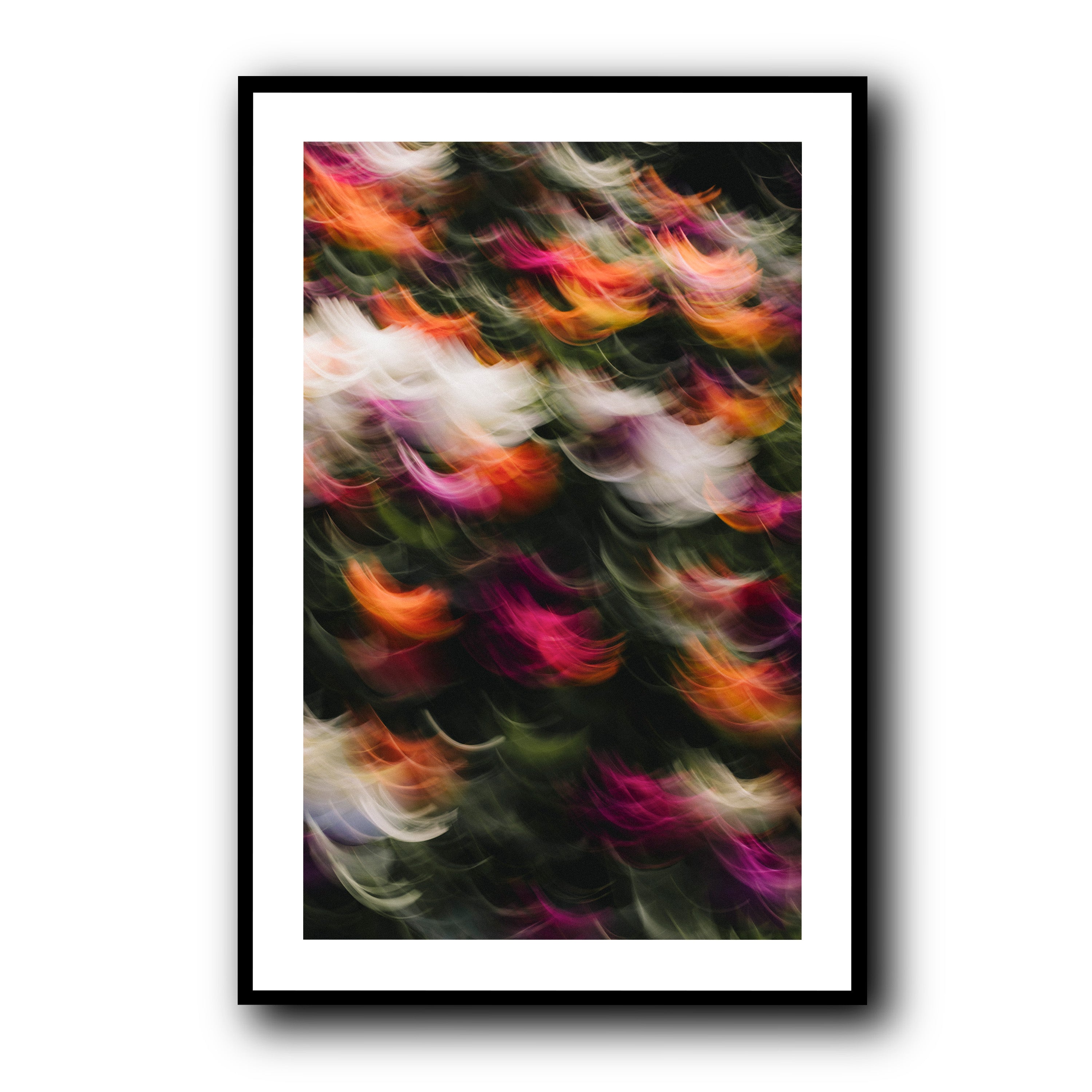 Flowers in Motion 2, Barcelona