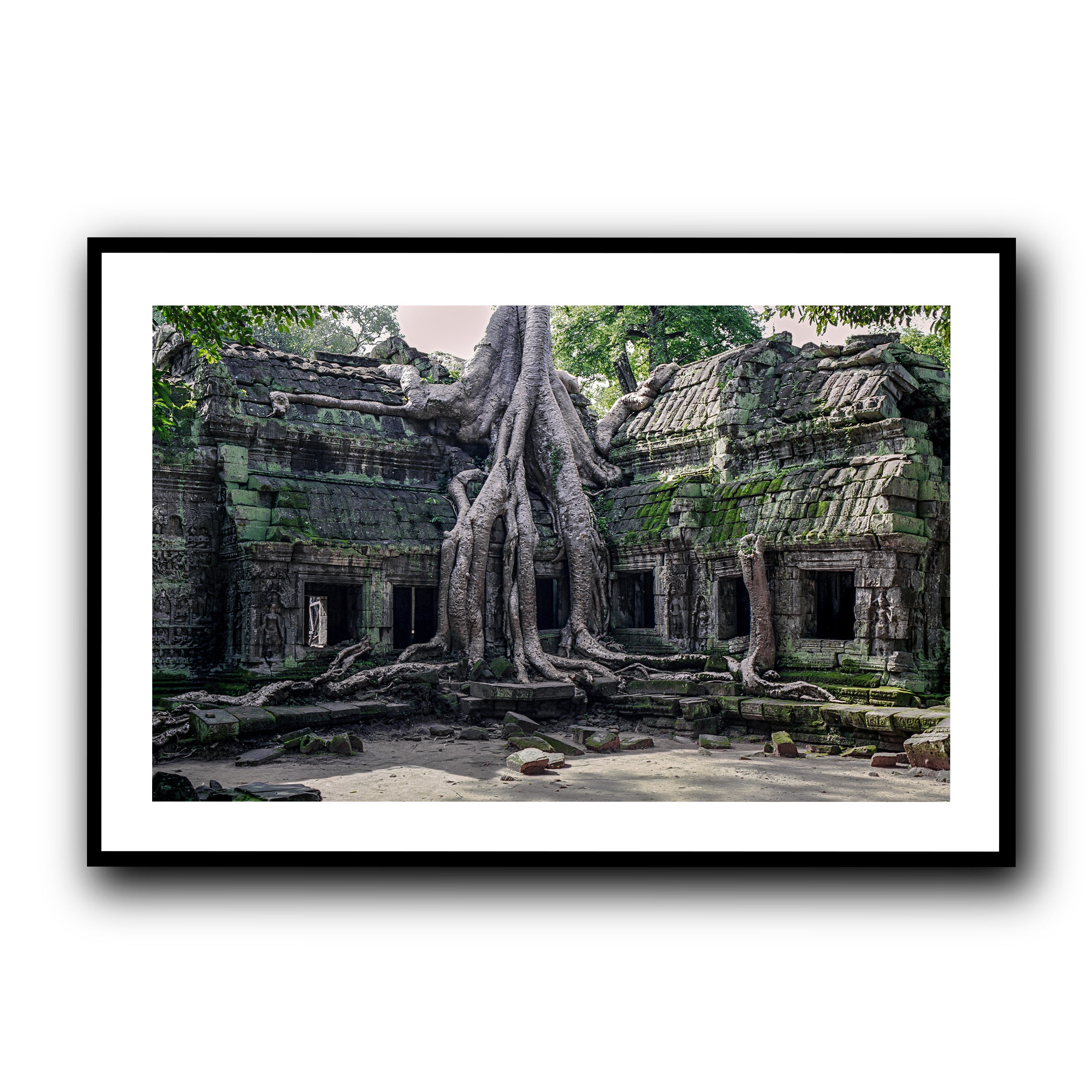Ta Prohm, Siam Reap