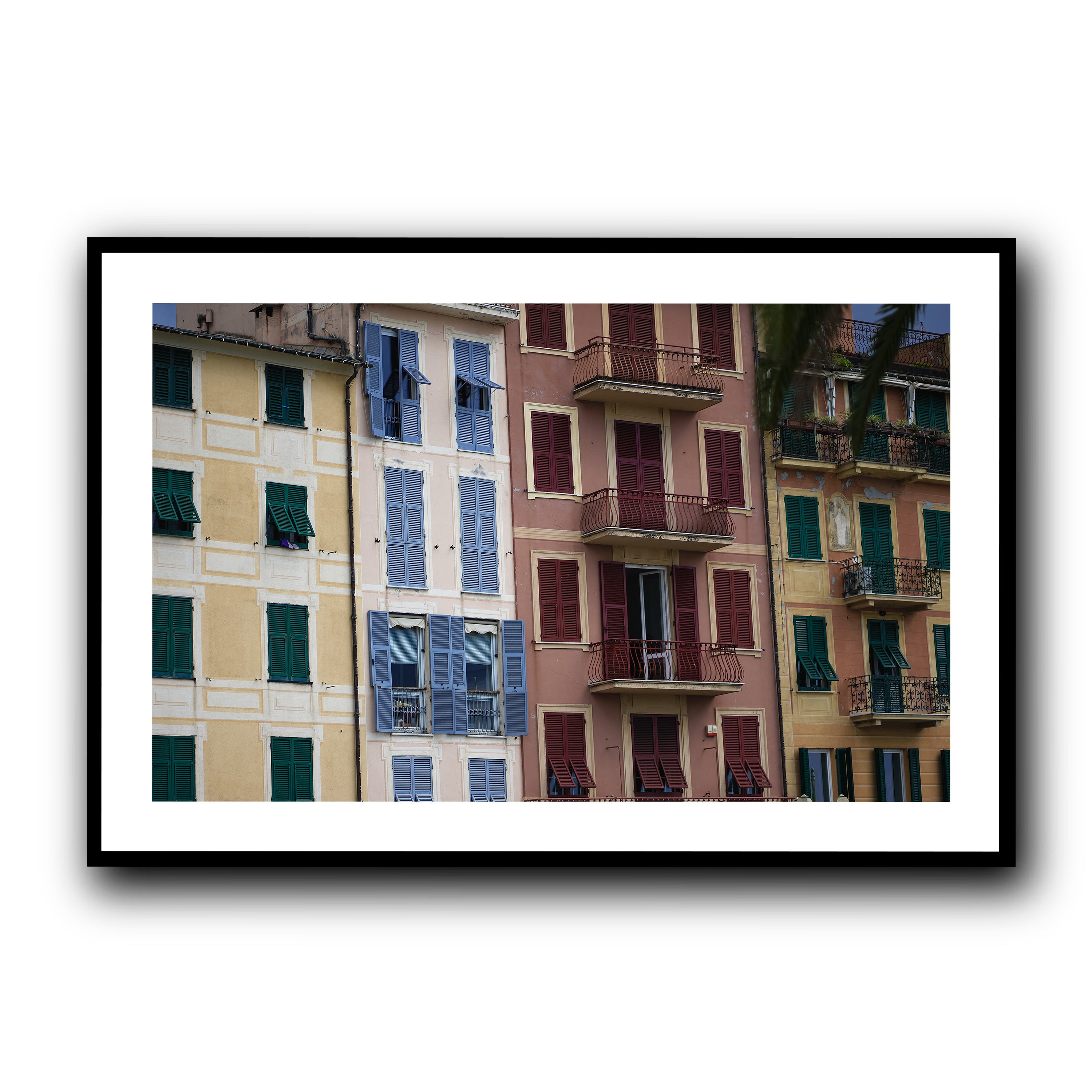 Dolce Vita Colors, Santa Margherita