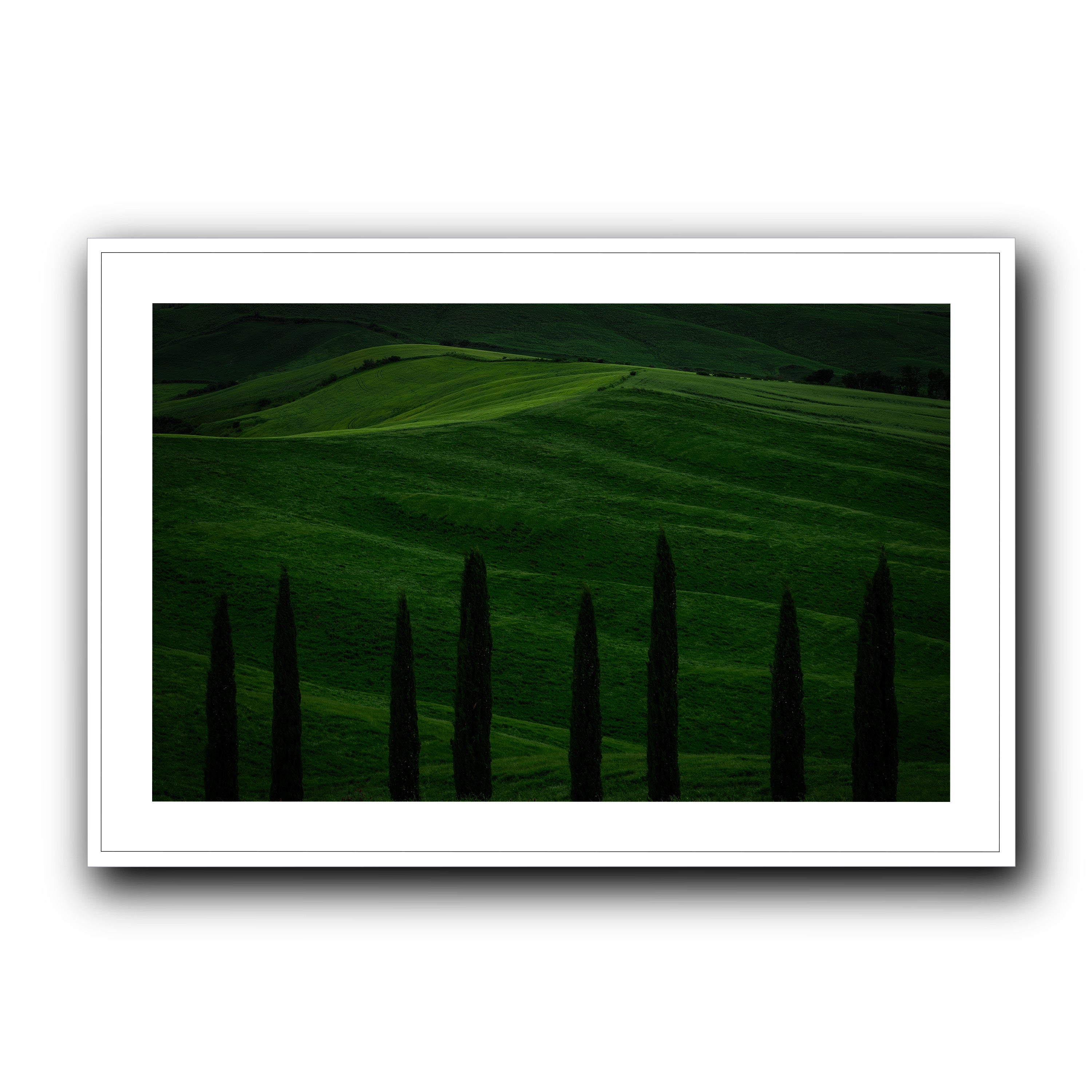 Green Fields, Tuscany