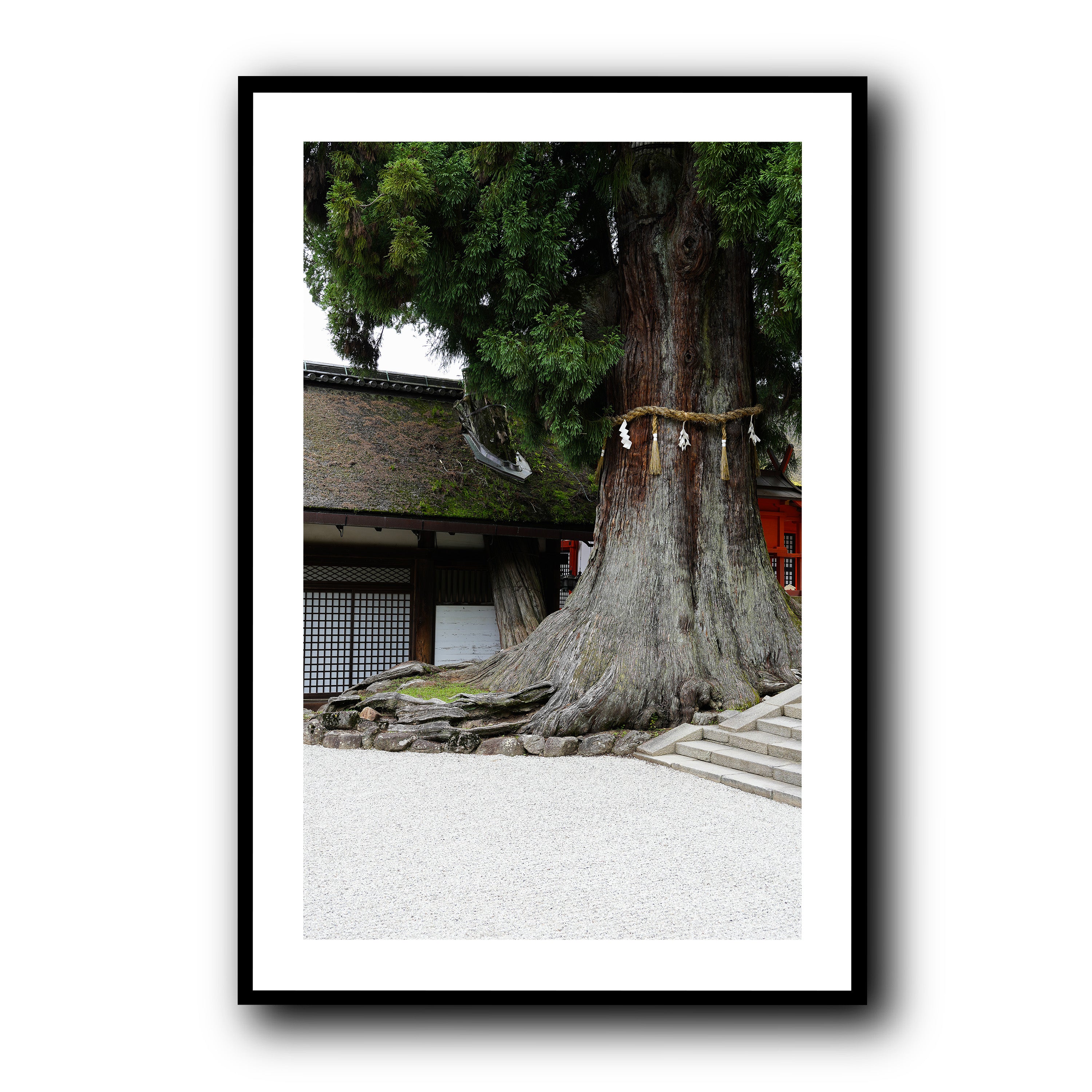 The Tree, Nara