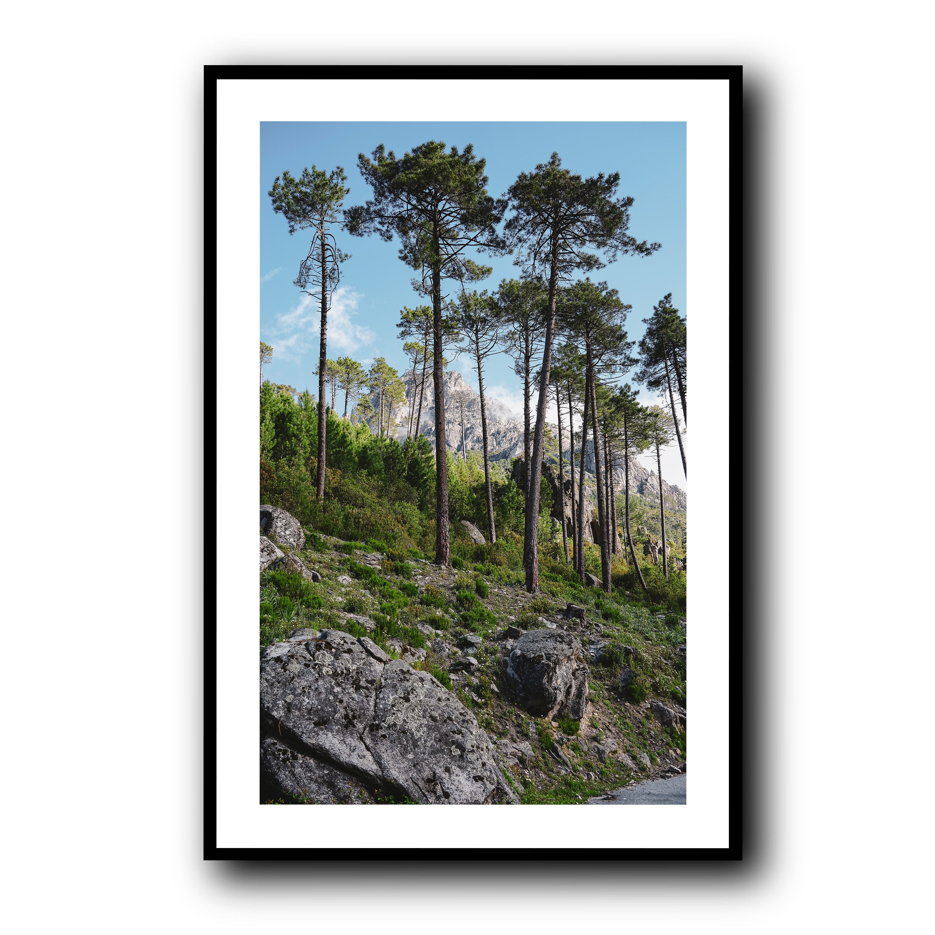 Toward the Sky, Corsica