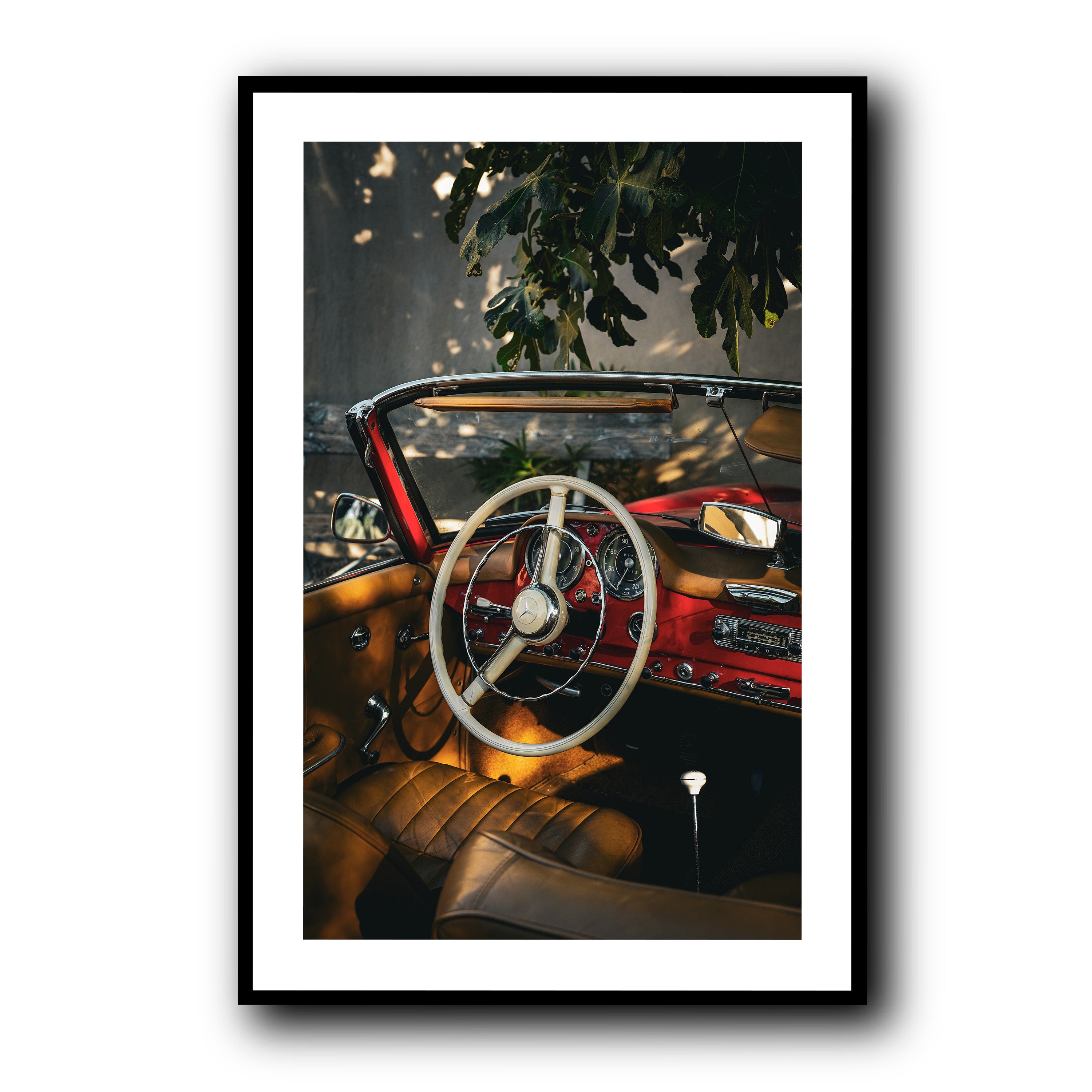 Nap Under the Fig Tree, Provence