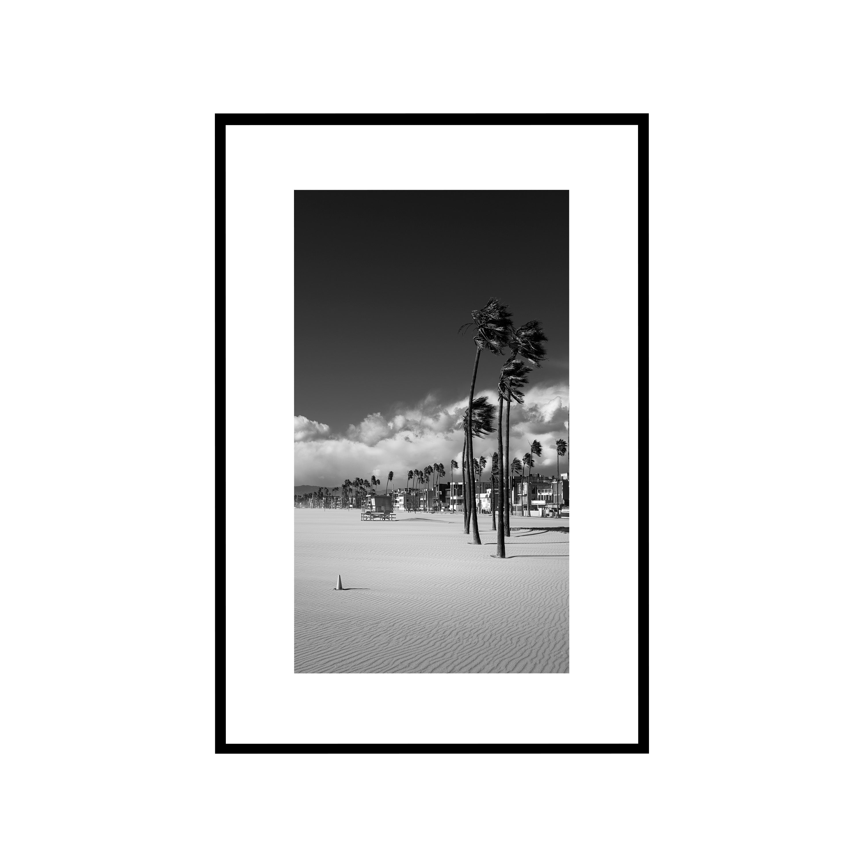 Windcarved, Venice Beach