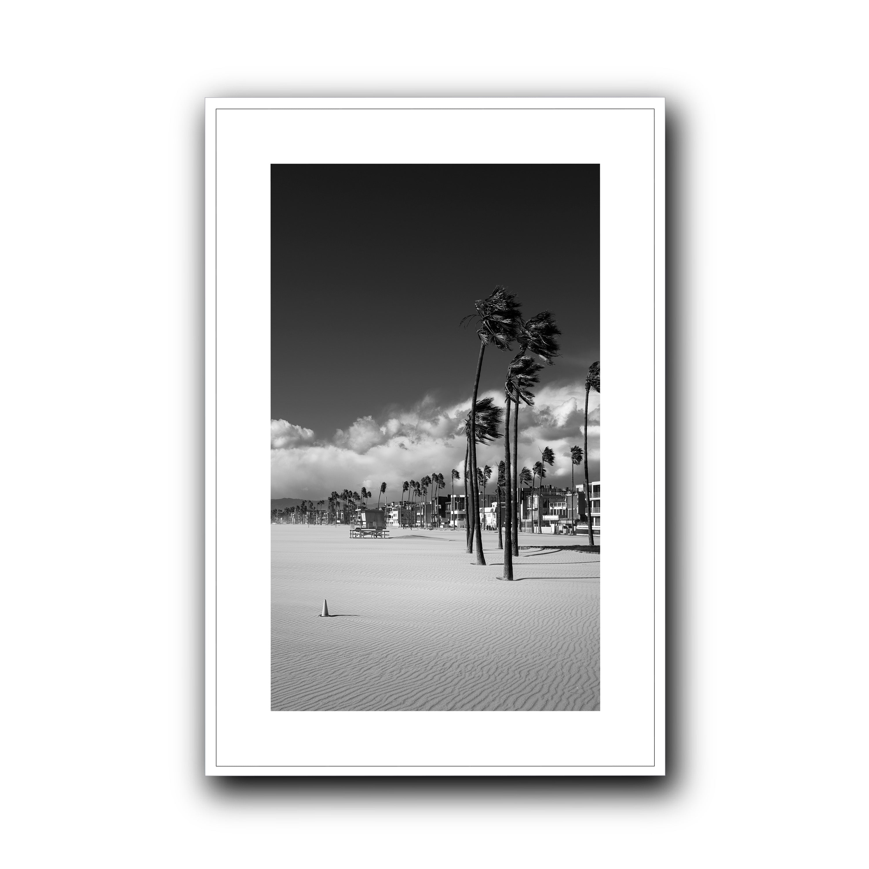 Windcarved, Venice Beach