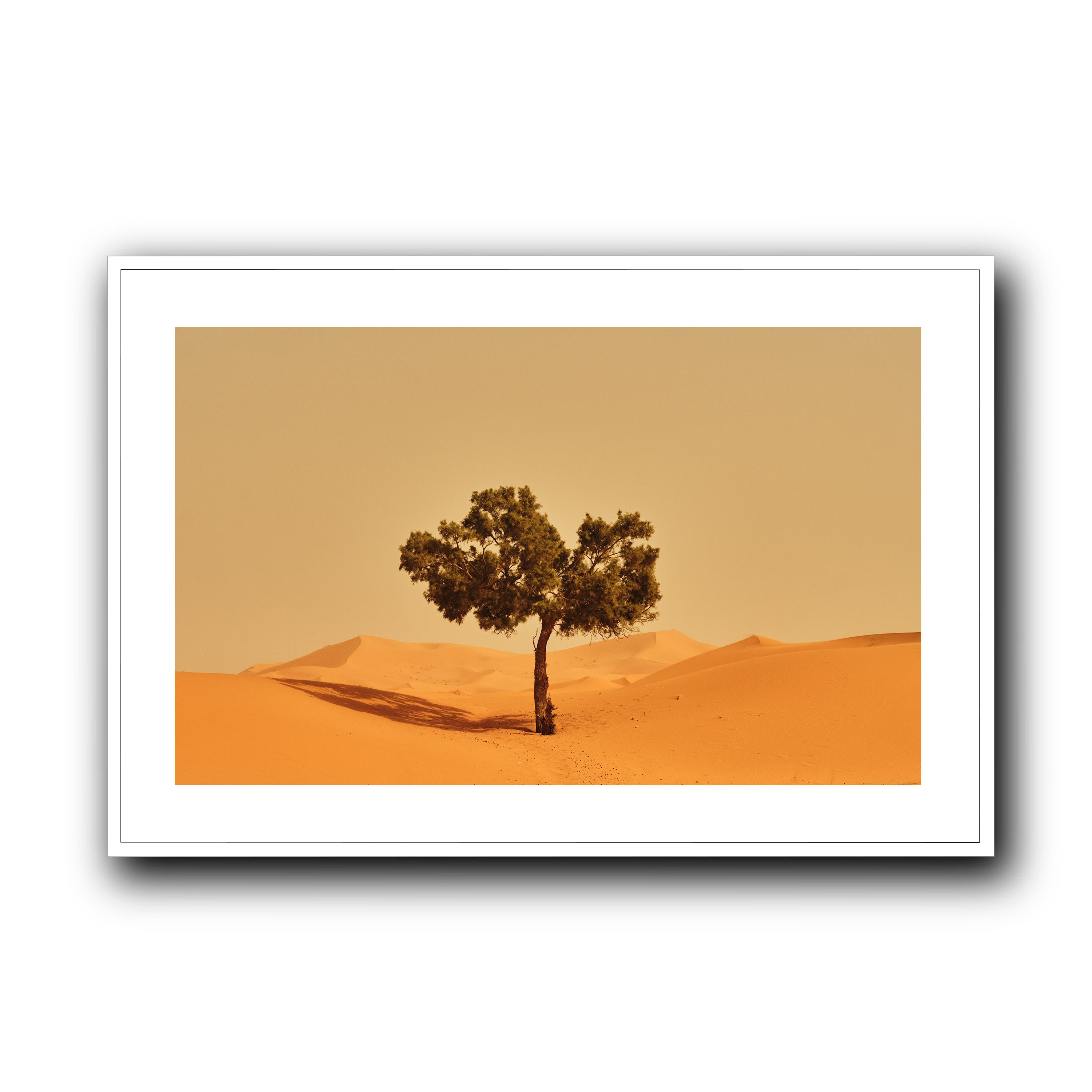 Solitude, Merzouga