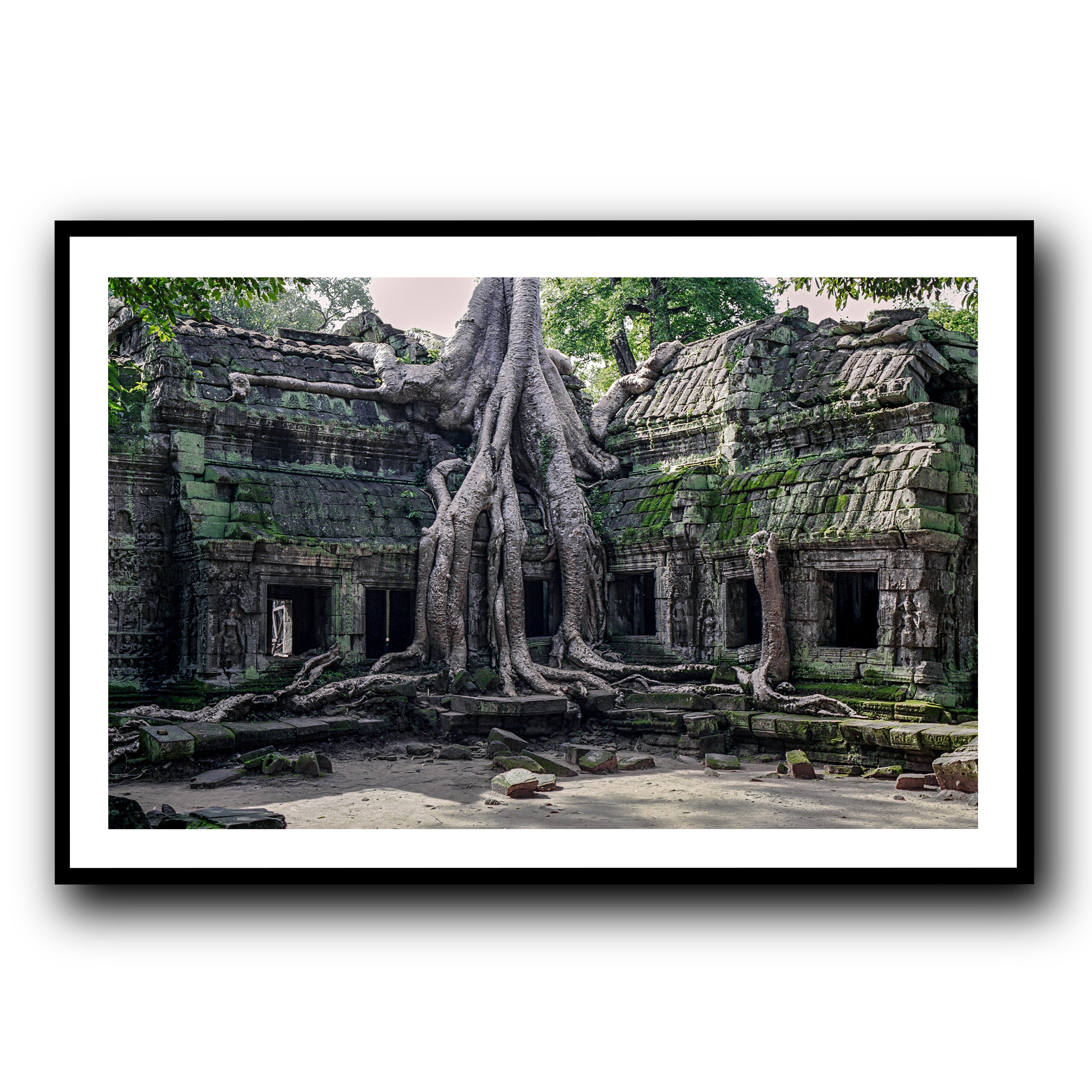 Ta Prohm, Siam Reap
