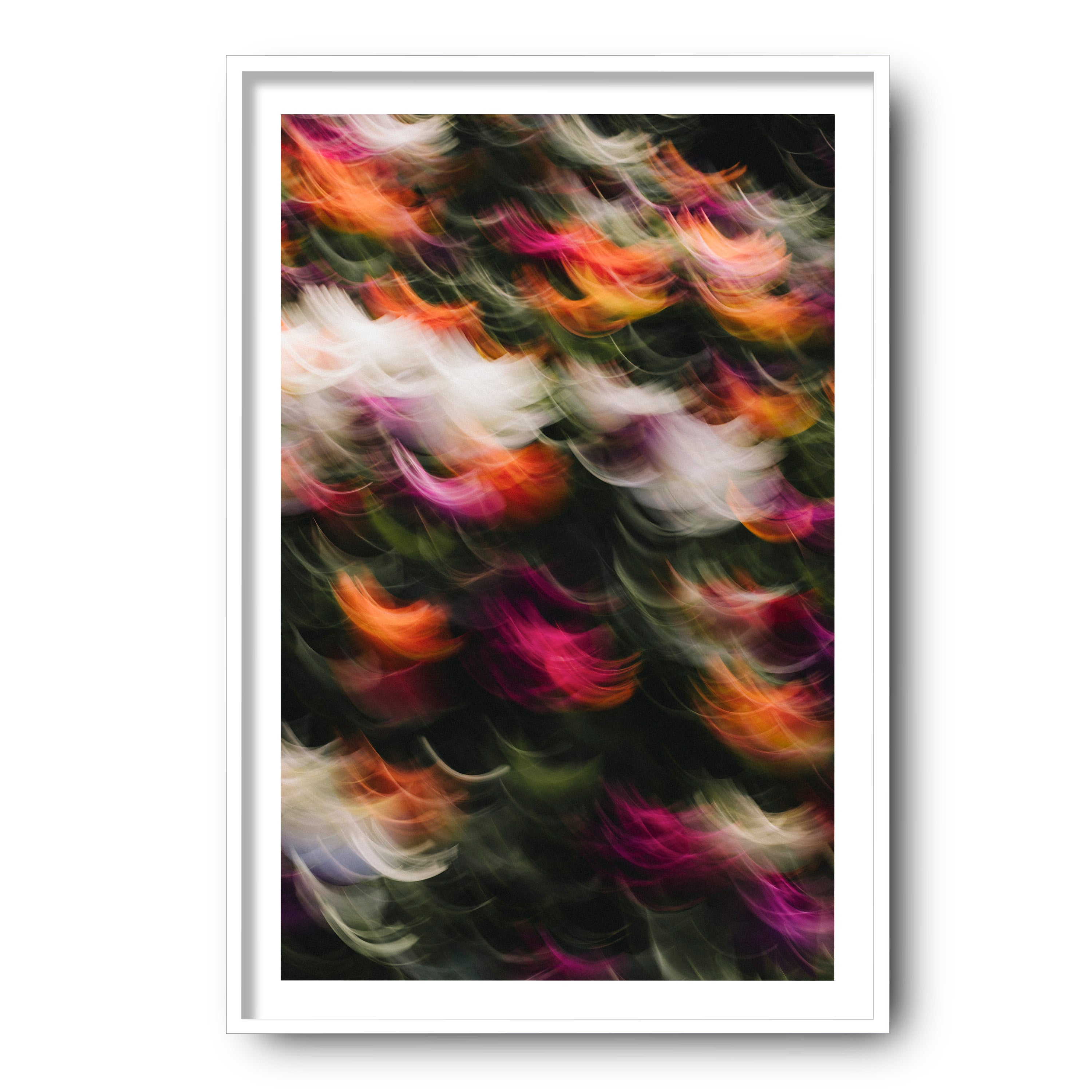 Flowers in Motion 2, Barcelona