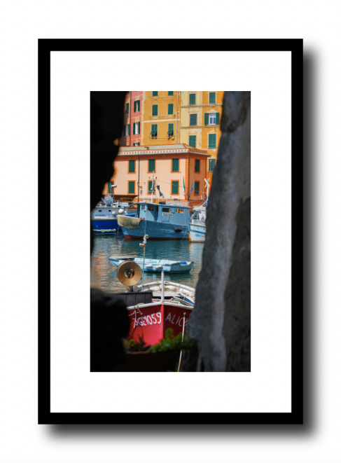 Italian colors, Camogli