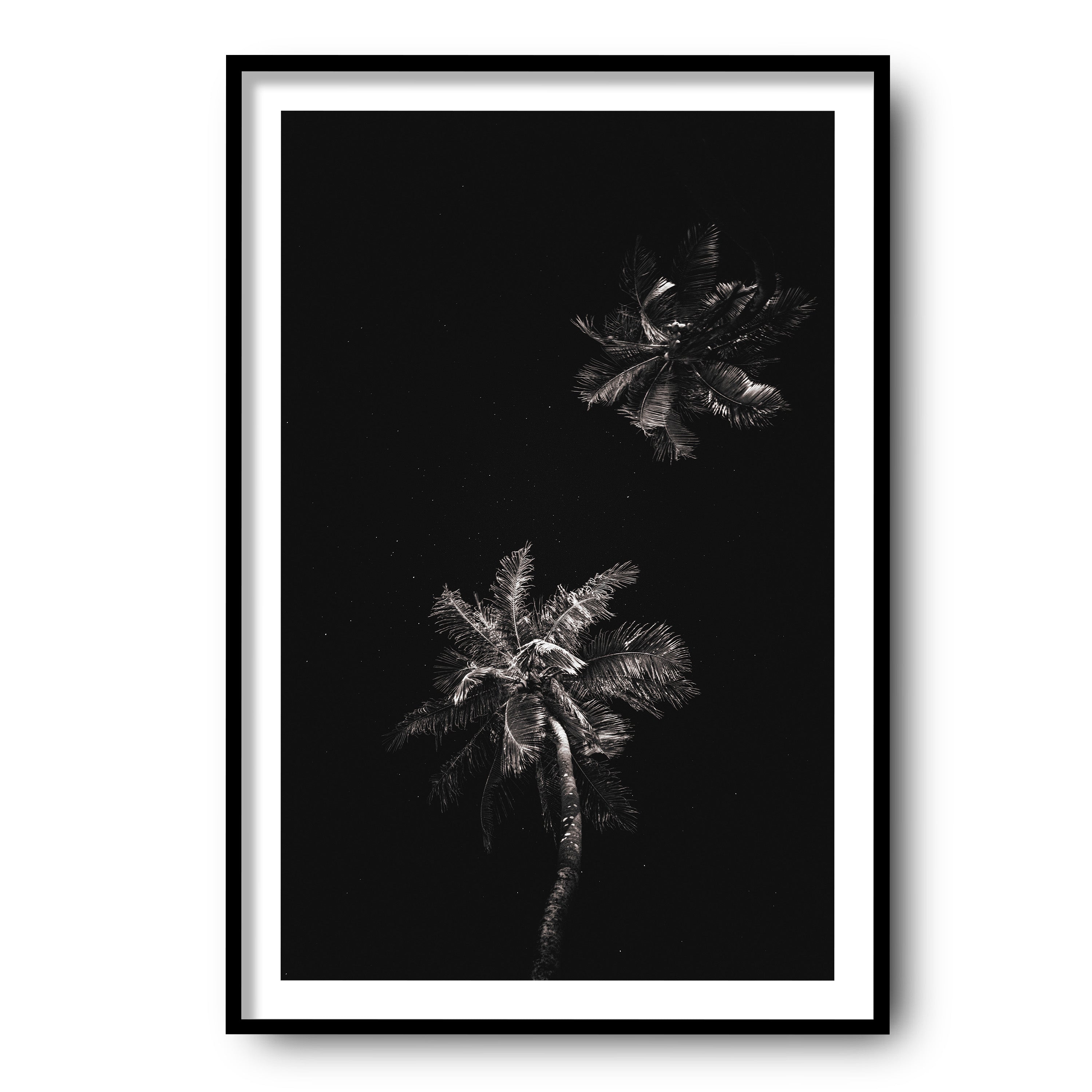 Dark Coco, Tahiti