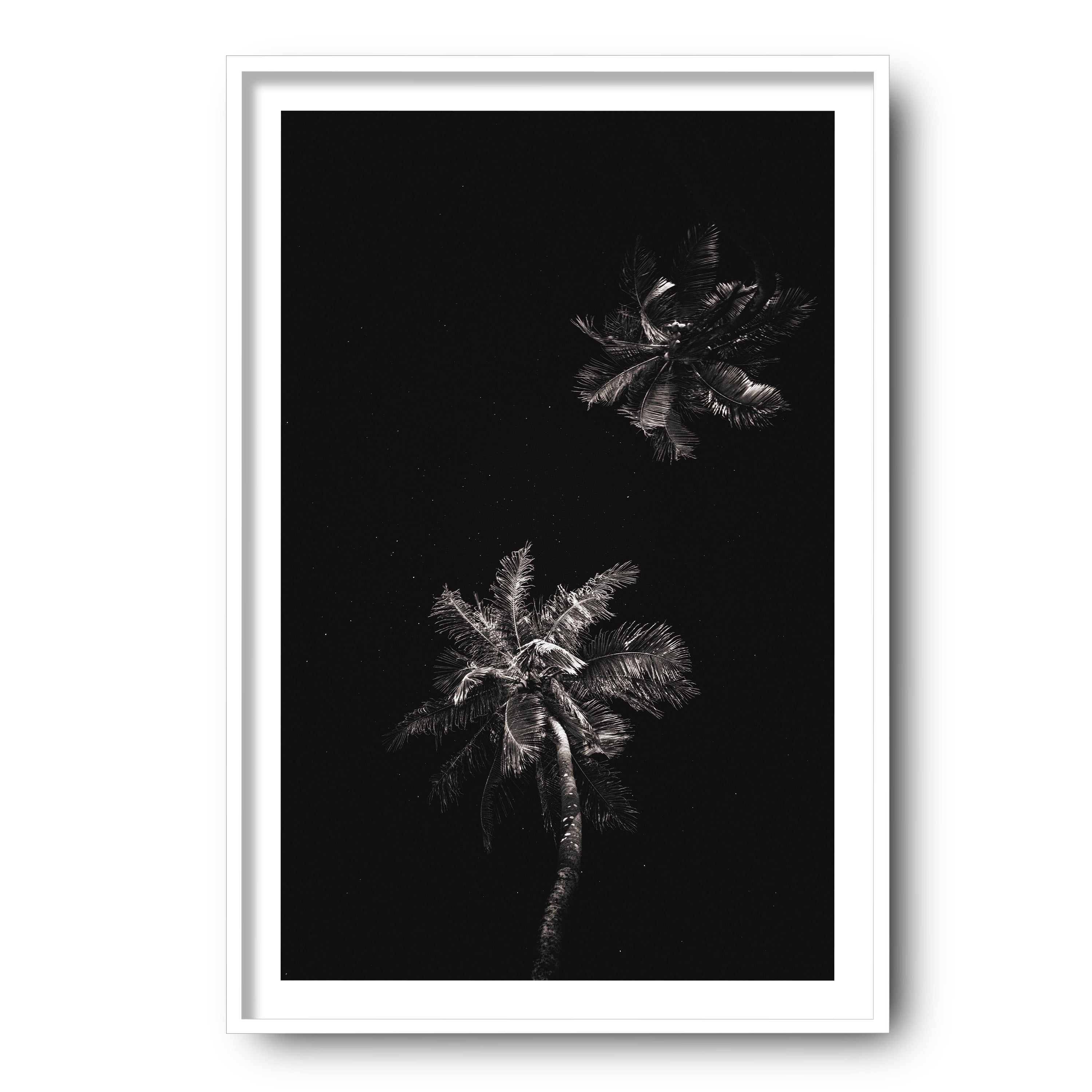 Dark Coco, Tahiti