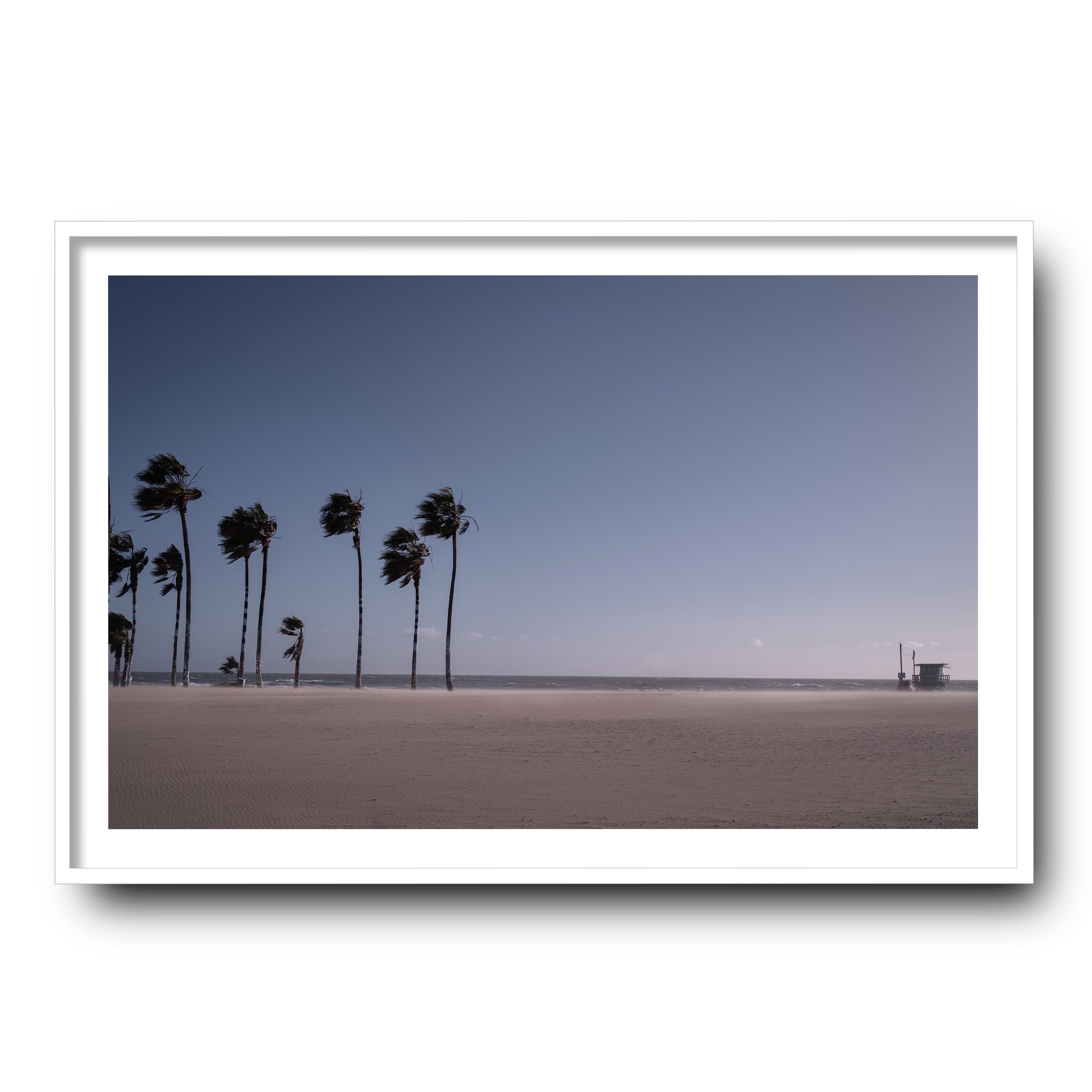 Blow, Venice Beach