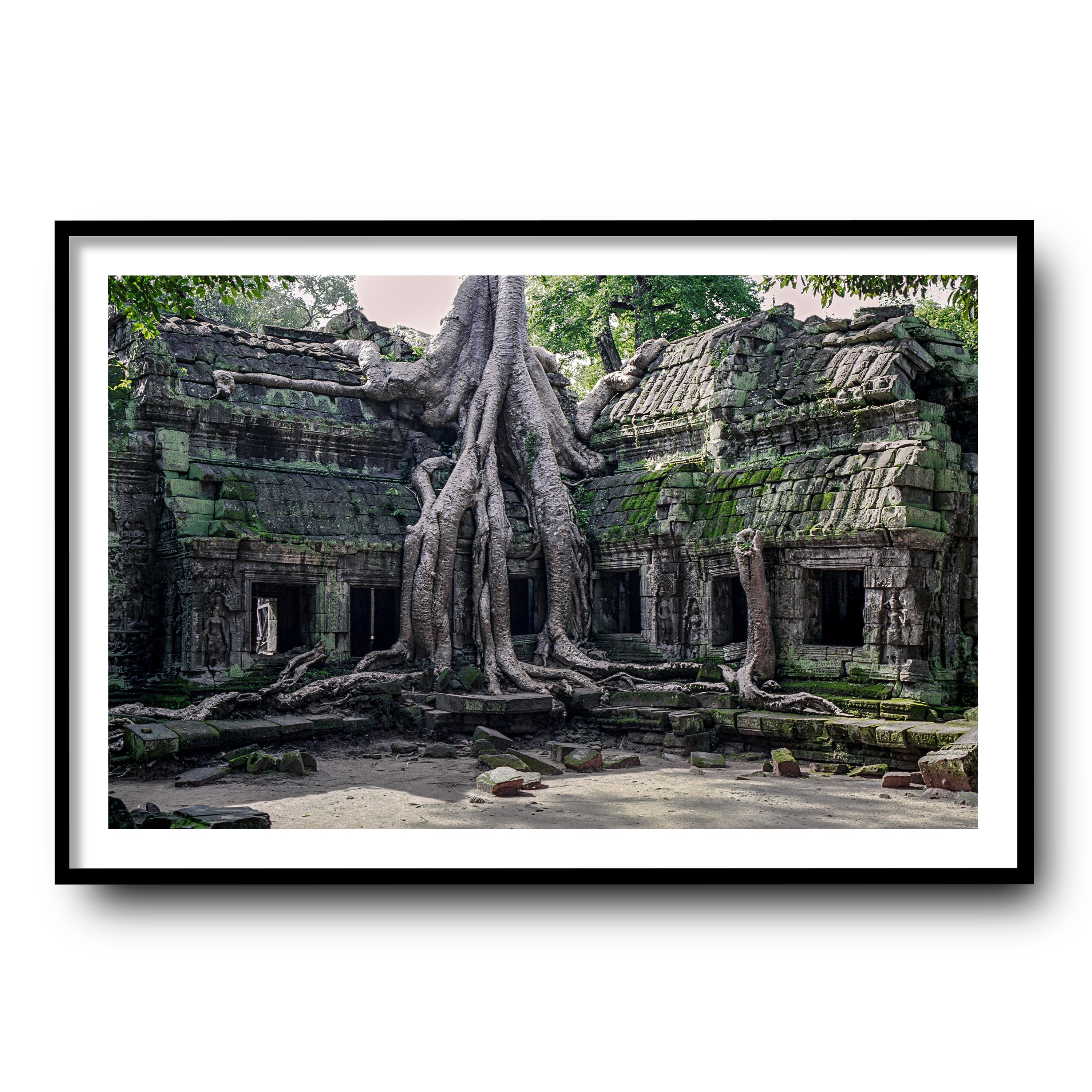 Ta Prohm, Siam Reap