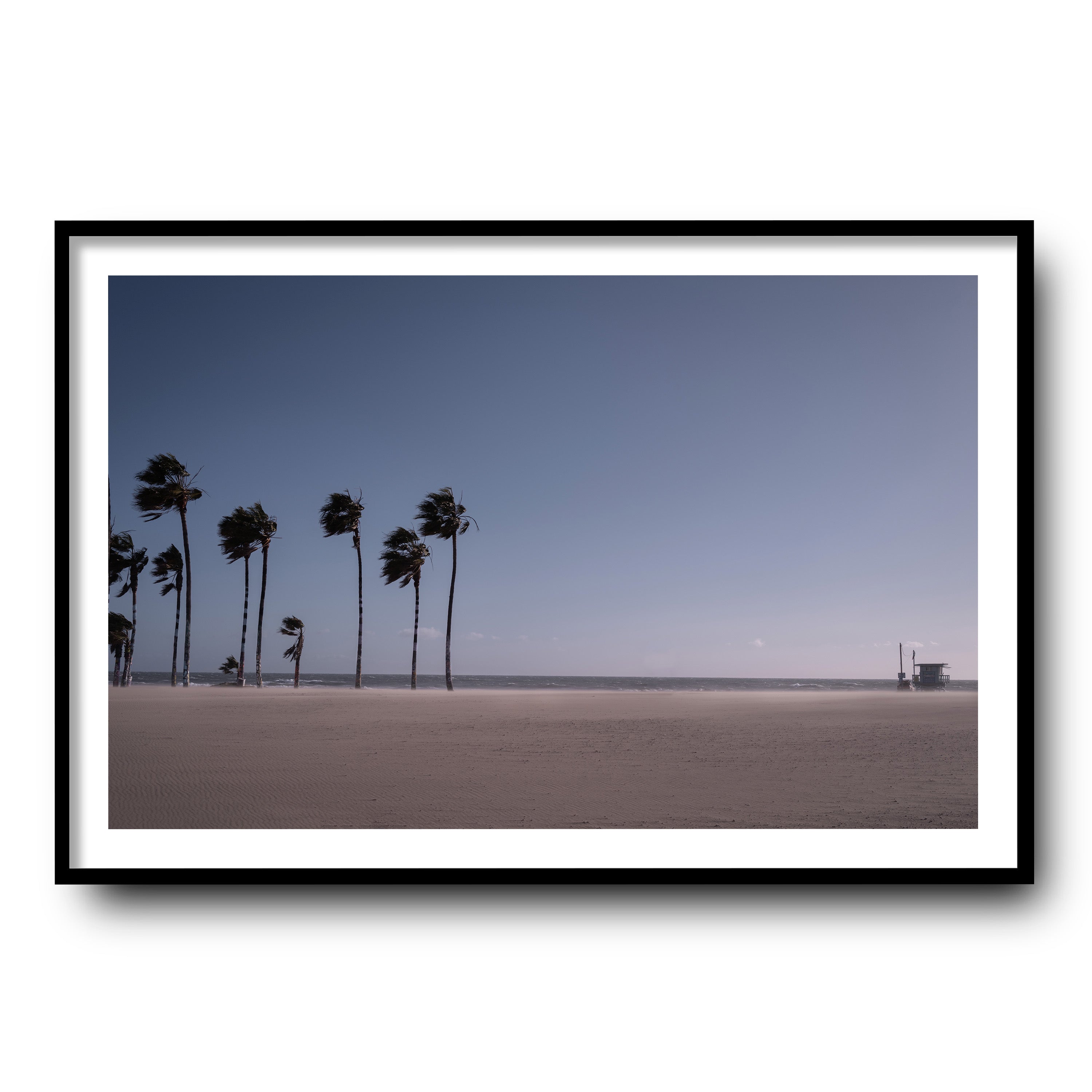 Blow, Venice Beach